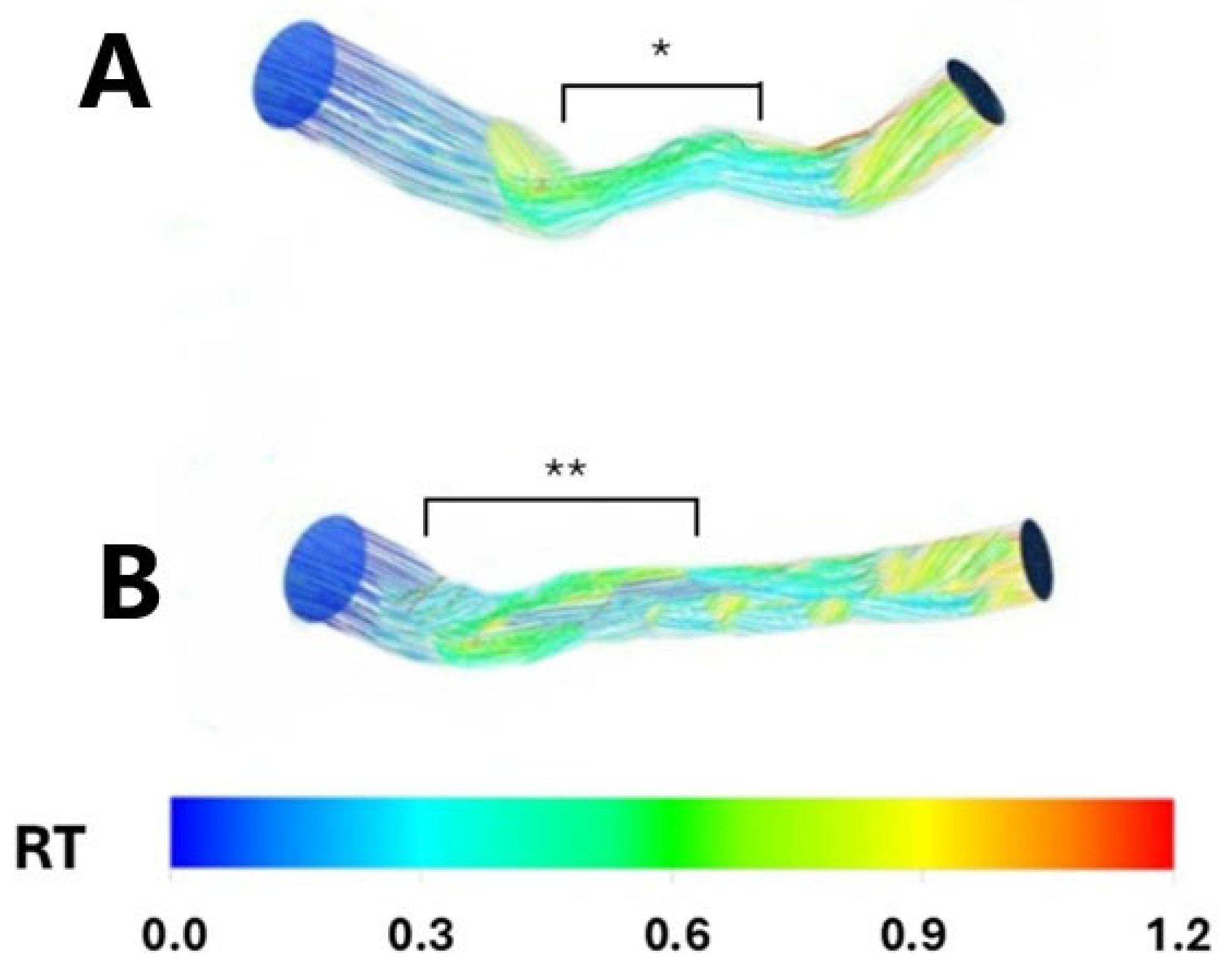 Pathophysiology 32 00028 g002