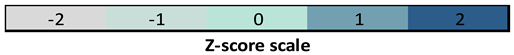 Pathophysiology 33 00002 i001 Pathophysiology 33 00002 i001