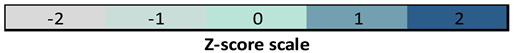 Pathophysiology 33 00002 i002 Pathophysiology 33 00002 i002
