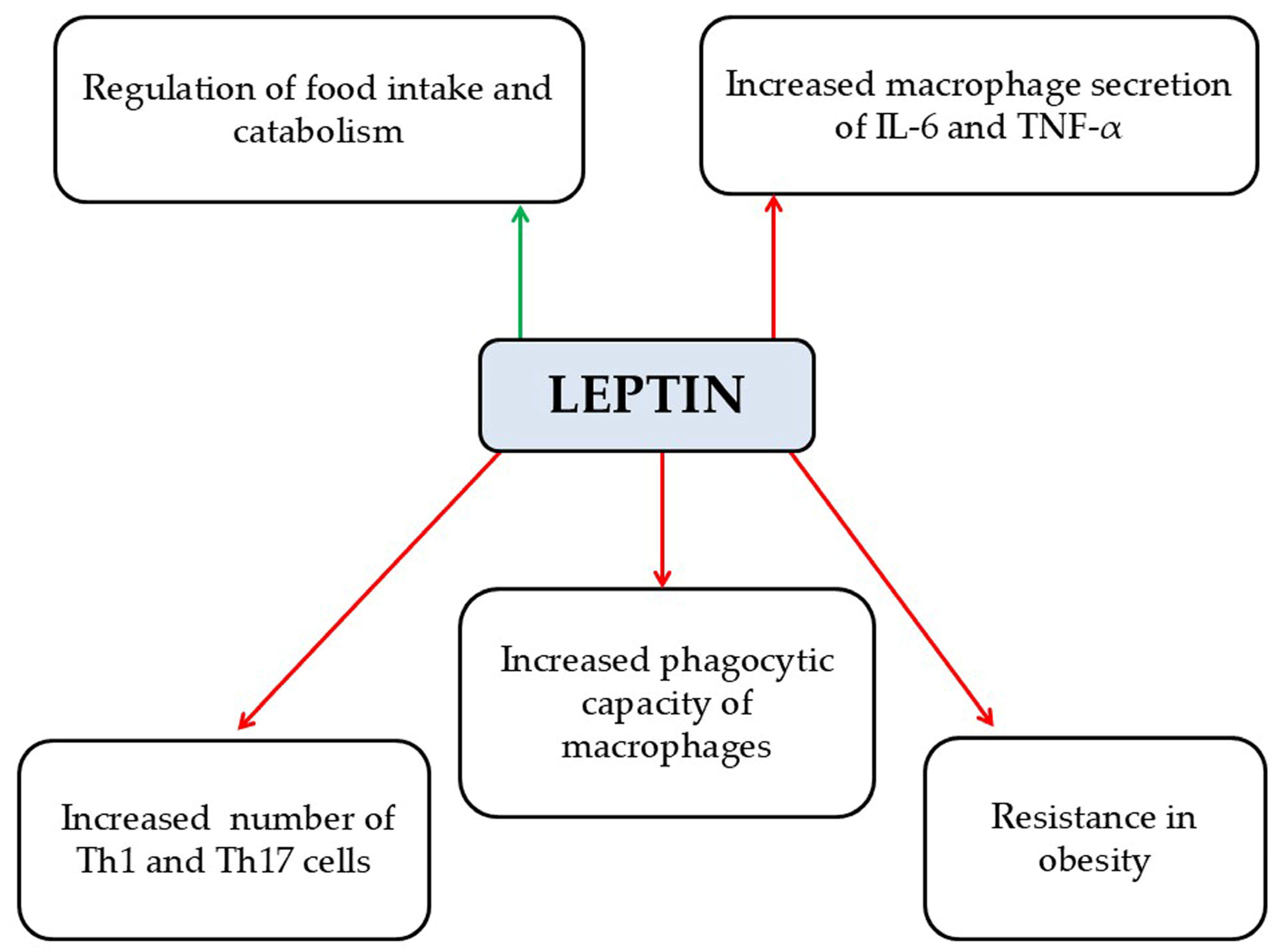 Pathophysiology 33 00005 g004 Pathophysiology 33 00005 g004