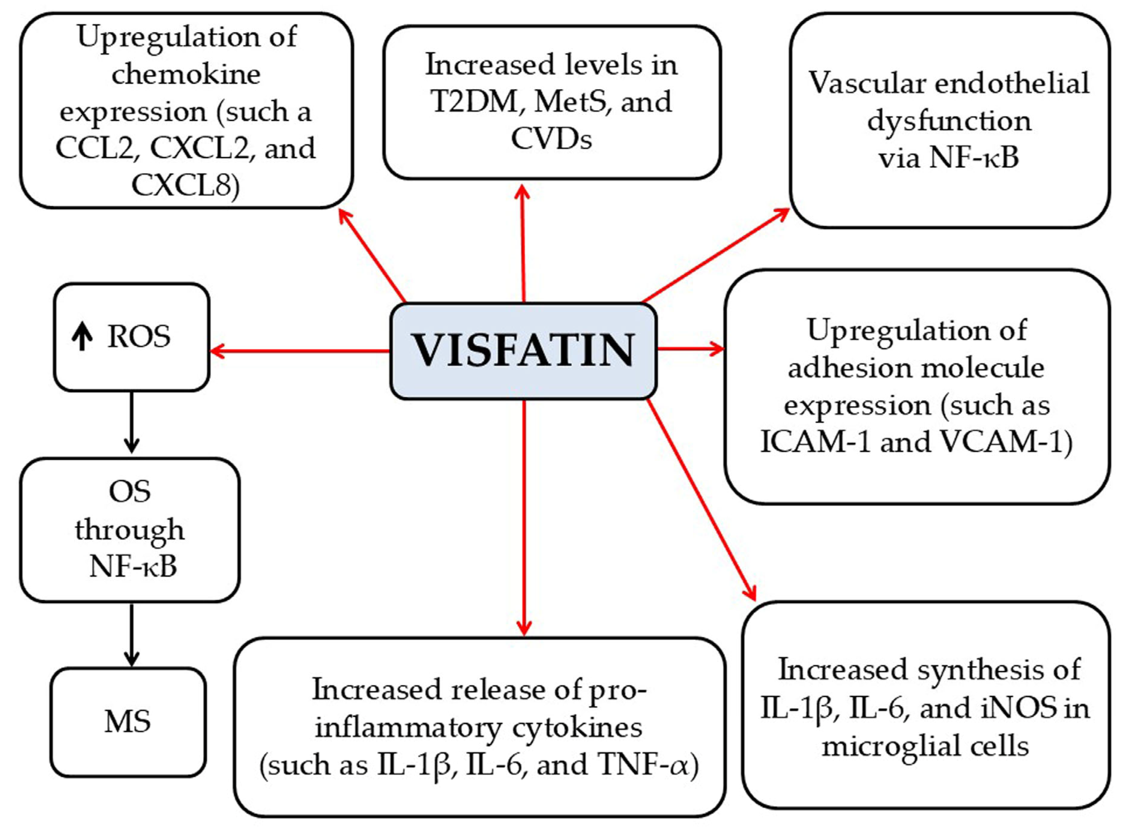 Pathophysiology 33 00005 g005 Pathophysiology 33 00005 g005