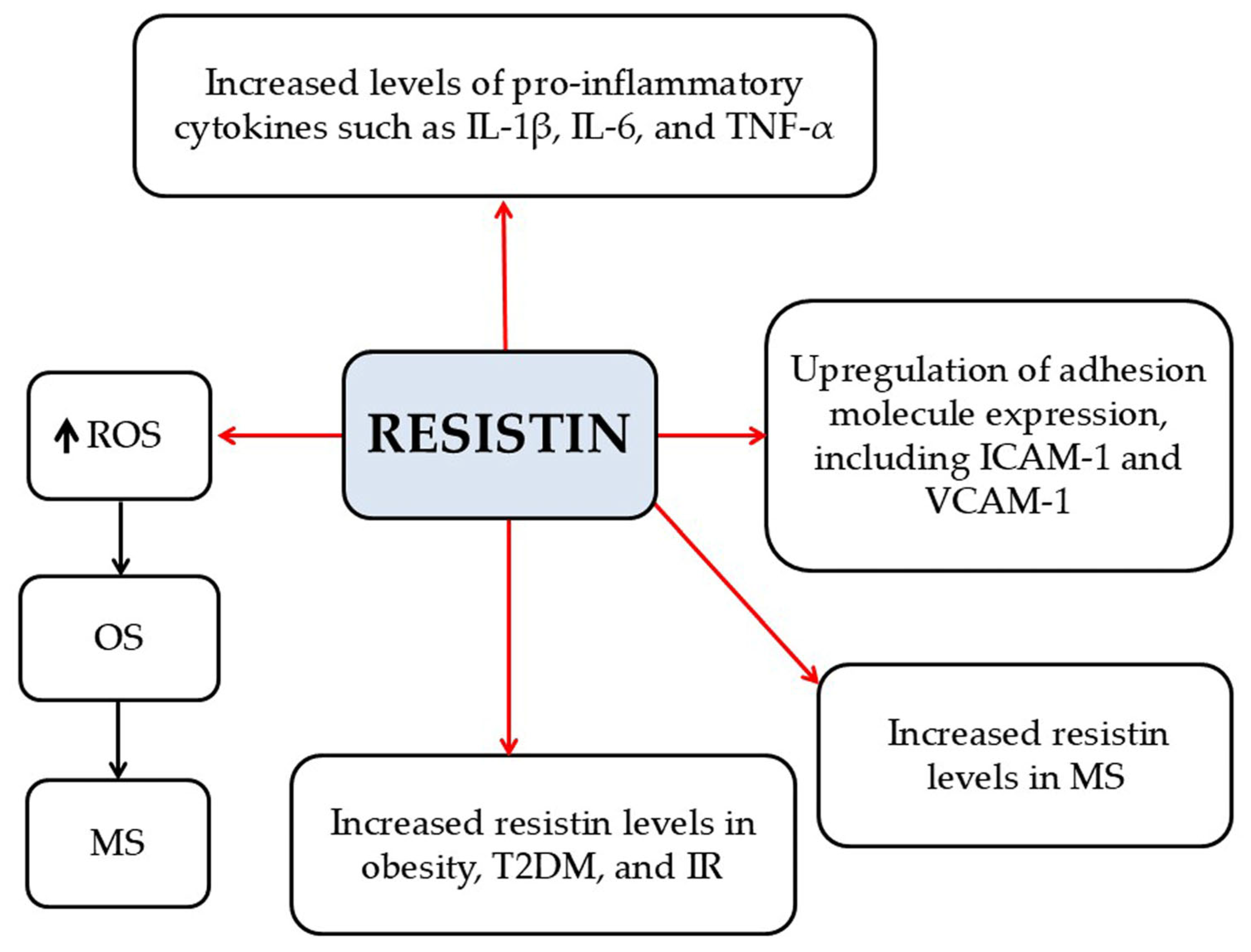 Pathophysiology 33 00005 g006 Pathophysiology 33 00005 g006
