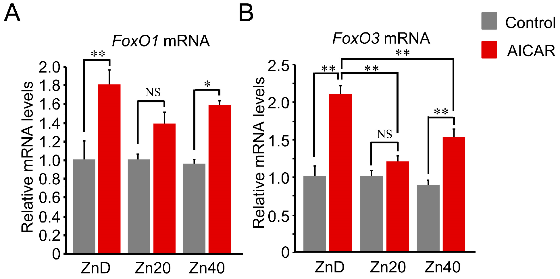 Pathophysiology 33 00012 g004
