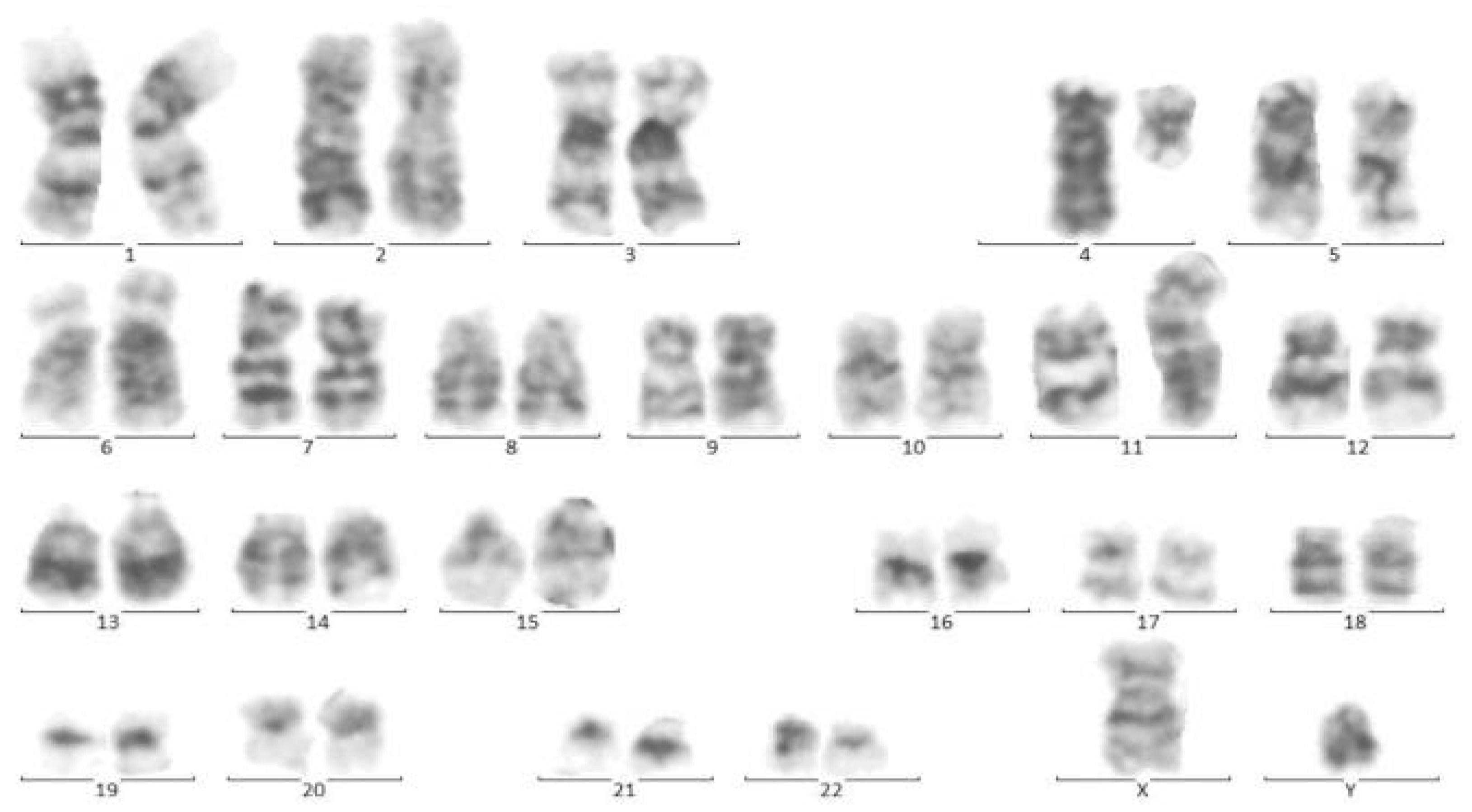 Pediatrrep 13 00002 g004 Pediatrrep 13 00002 g004