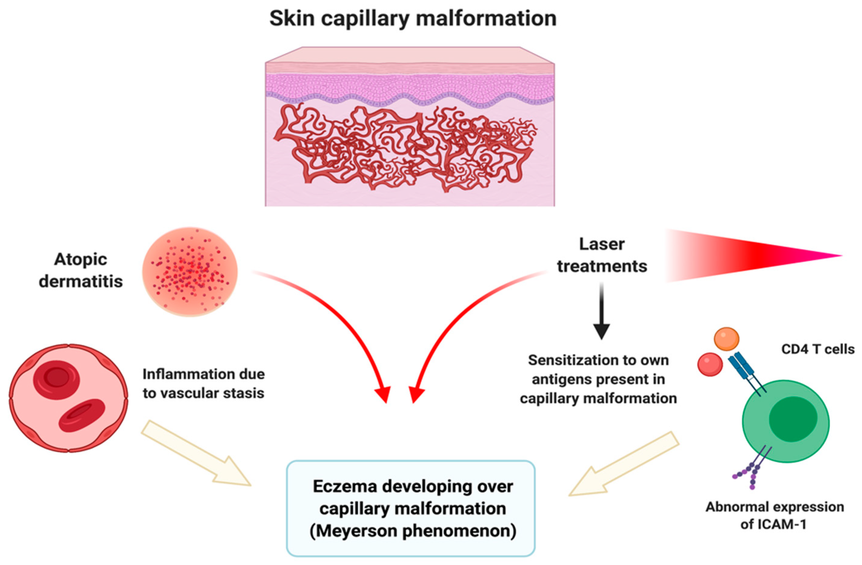 Pediatrrep 13 00019 g002