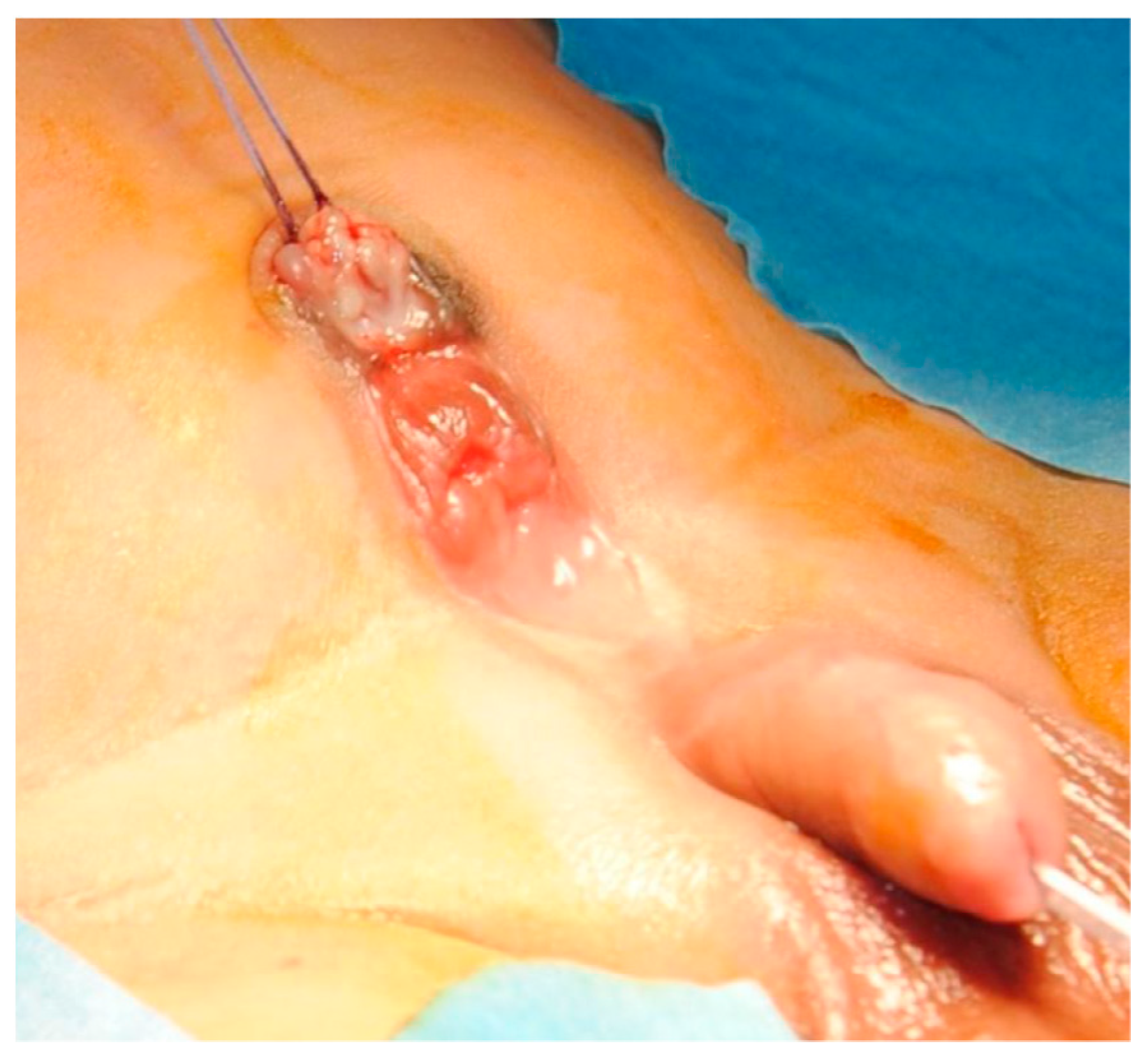 Pediatrrep 13 00024 g001