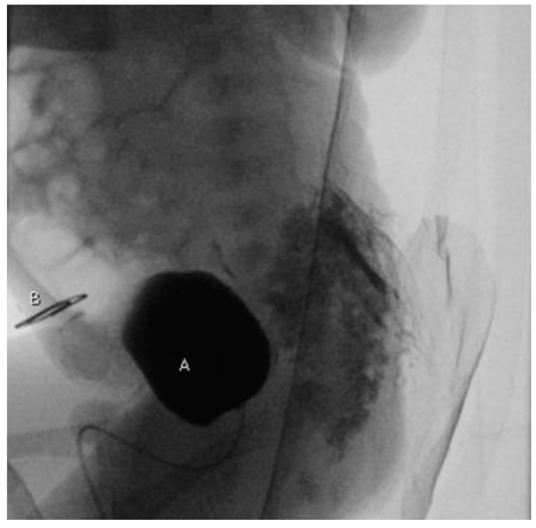 Pediatrrep 13 00024 g002