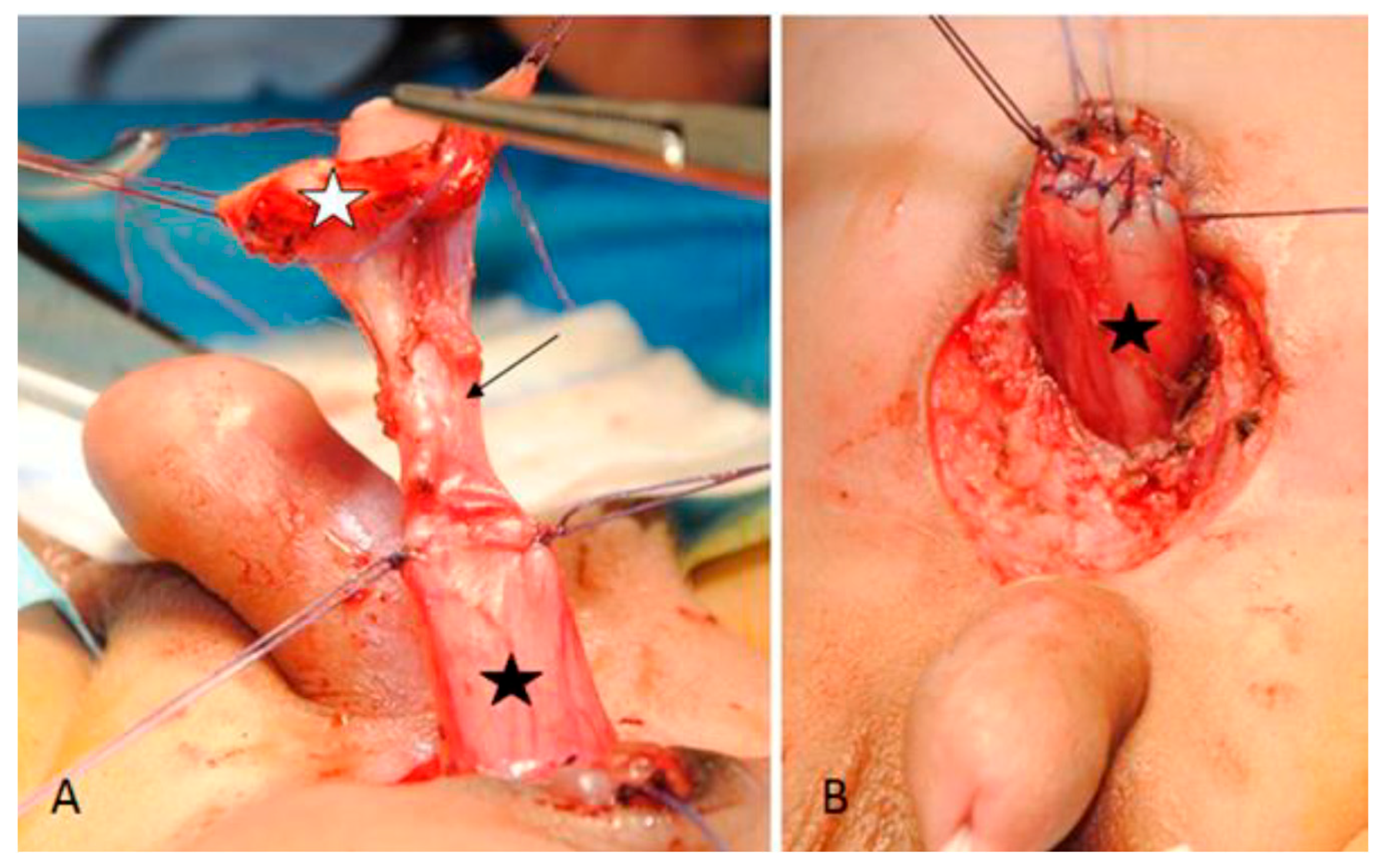 Pediatrrep 13 00024 g003