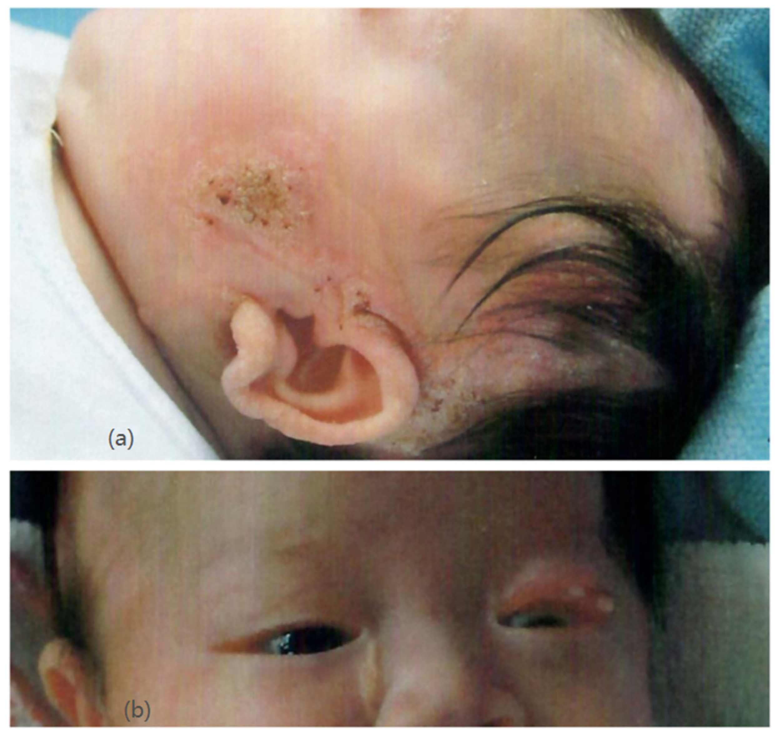 Pediatrrep 13 00028 g001