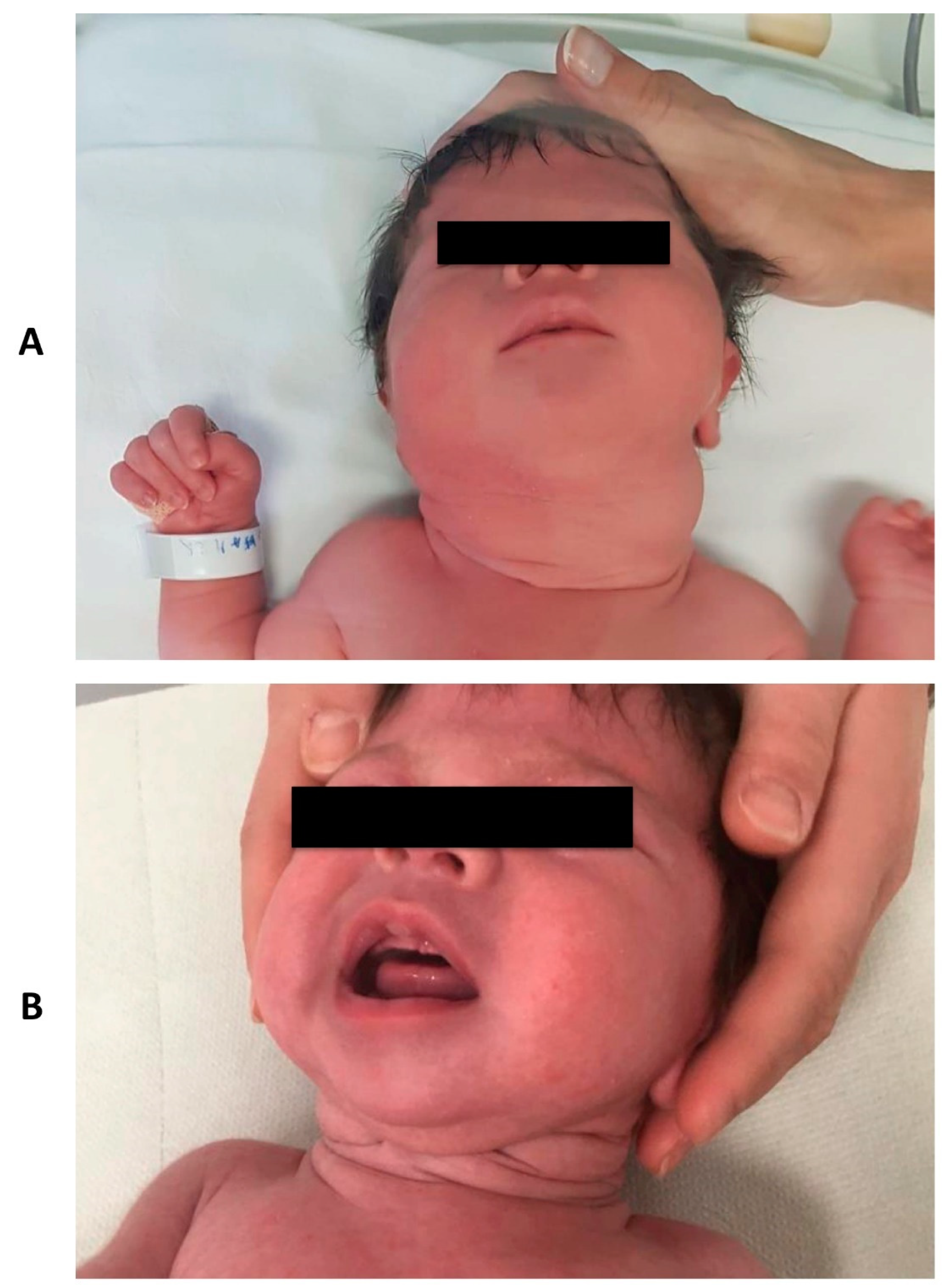 Pediatrrep 13 00029 g001