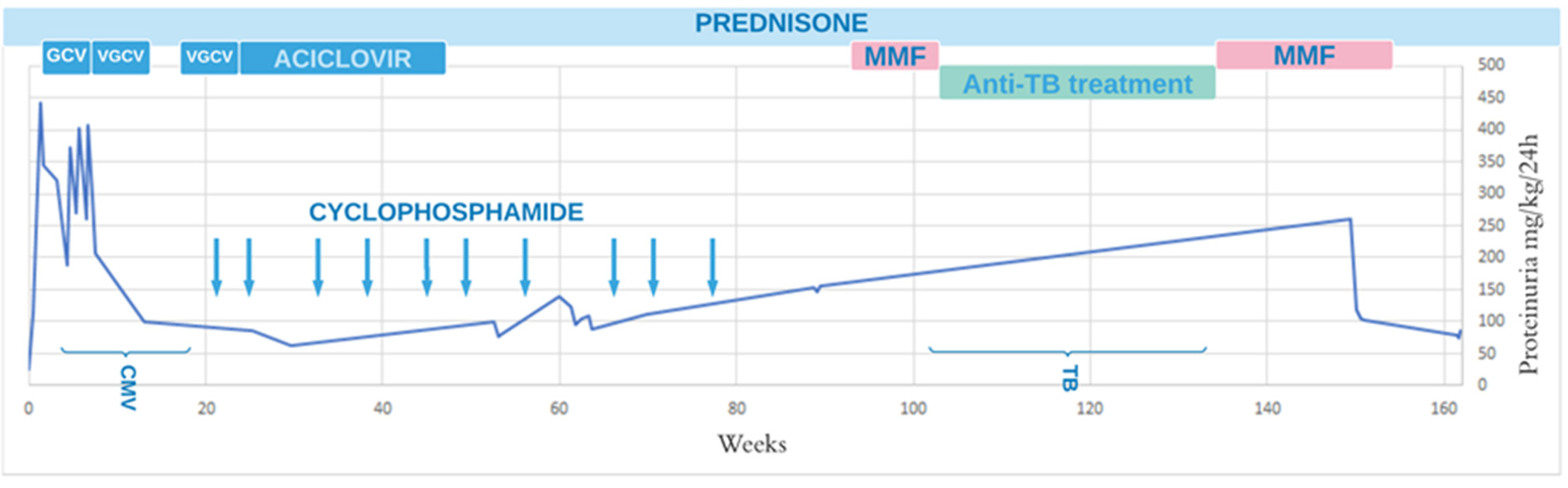 Pediatrrep 13 00048 g001