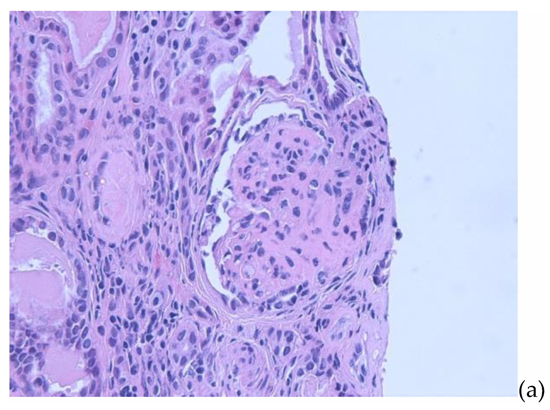 Pediatrrep 13 00053 g001a