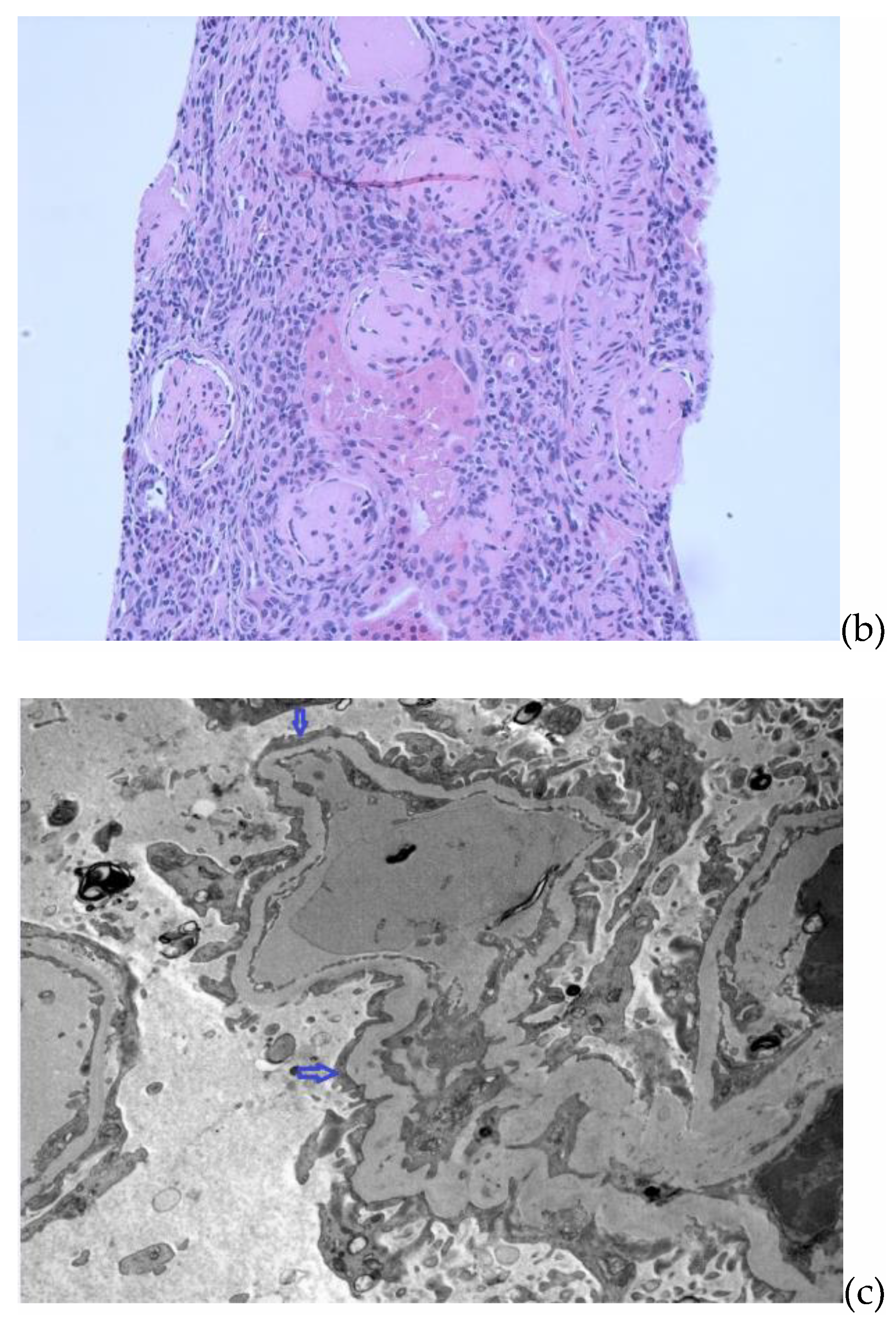 Pediatrrep 13 00053 g001b