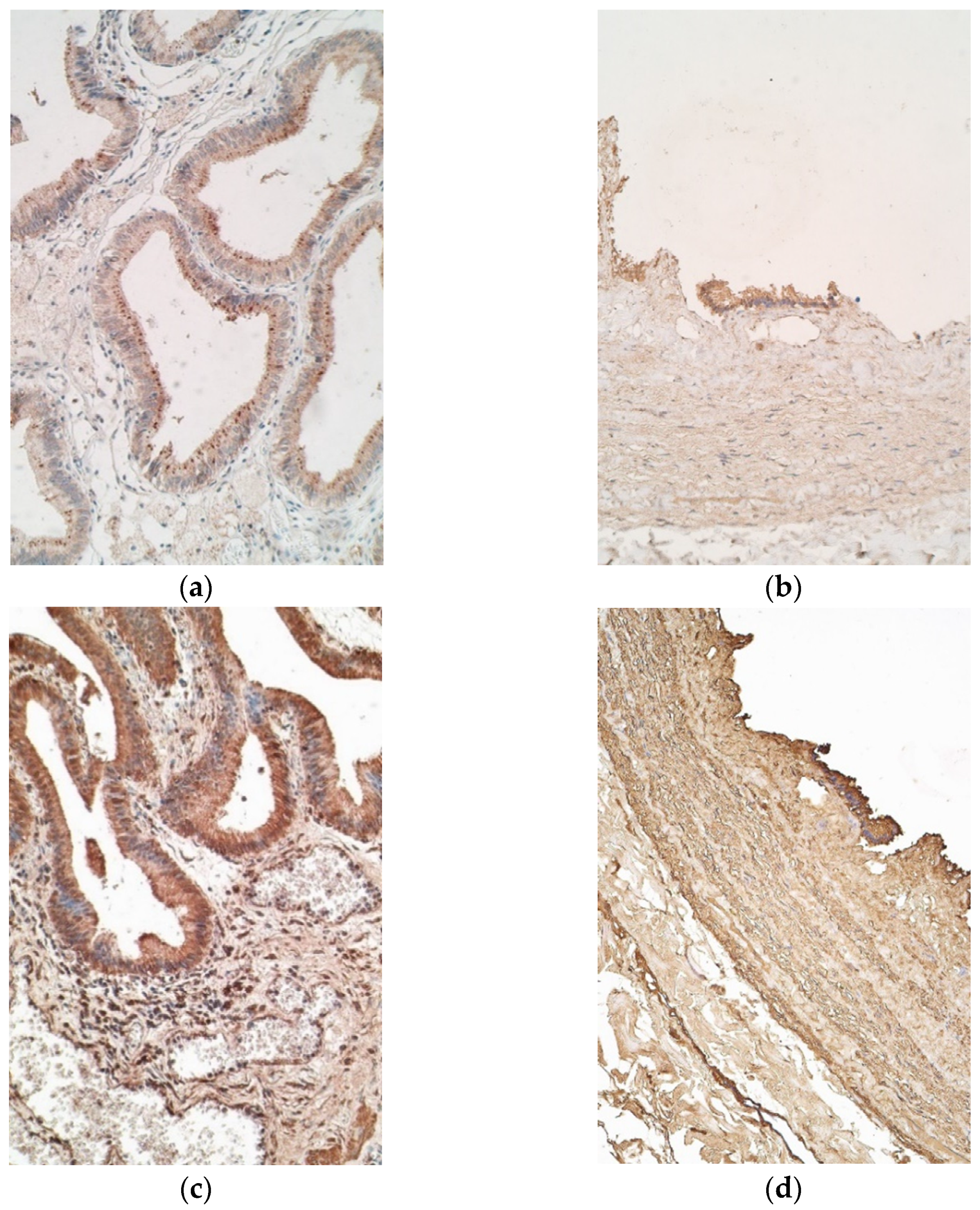 Pediatrrep 13 00054 g004