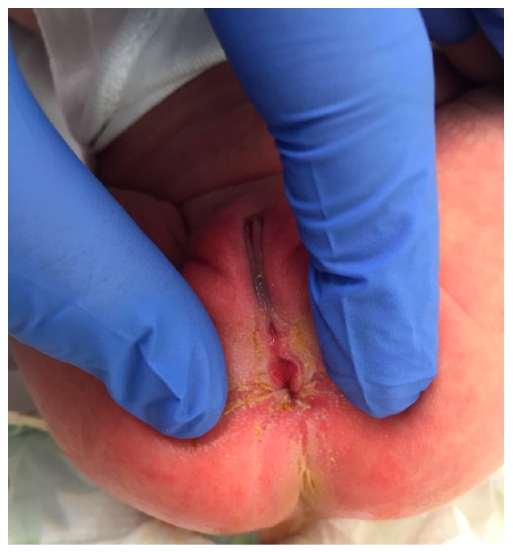 Pediatrrep 13 00056 g002