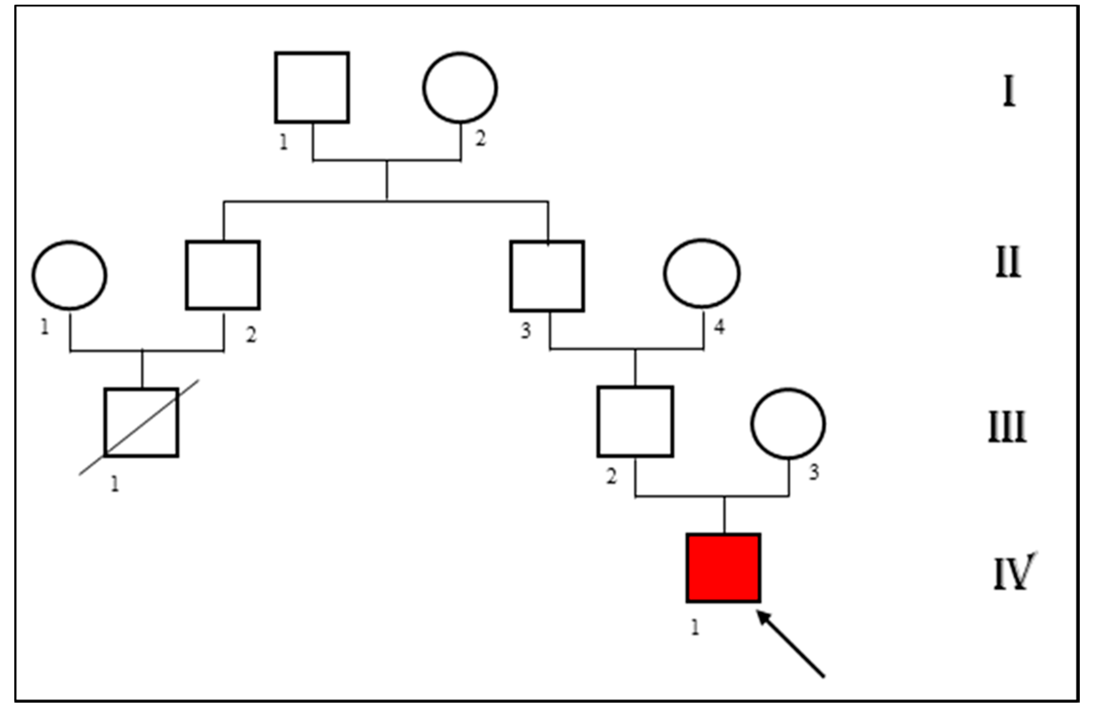 Pediatrrep 13 00058 g002