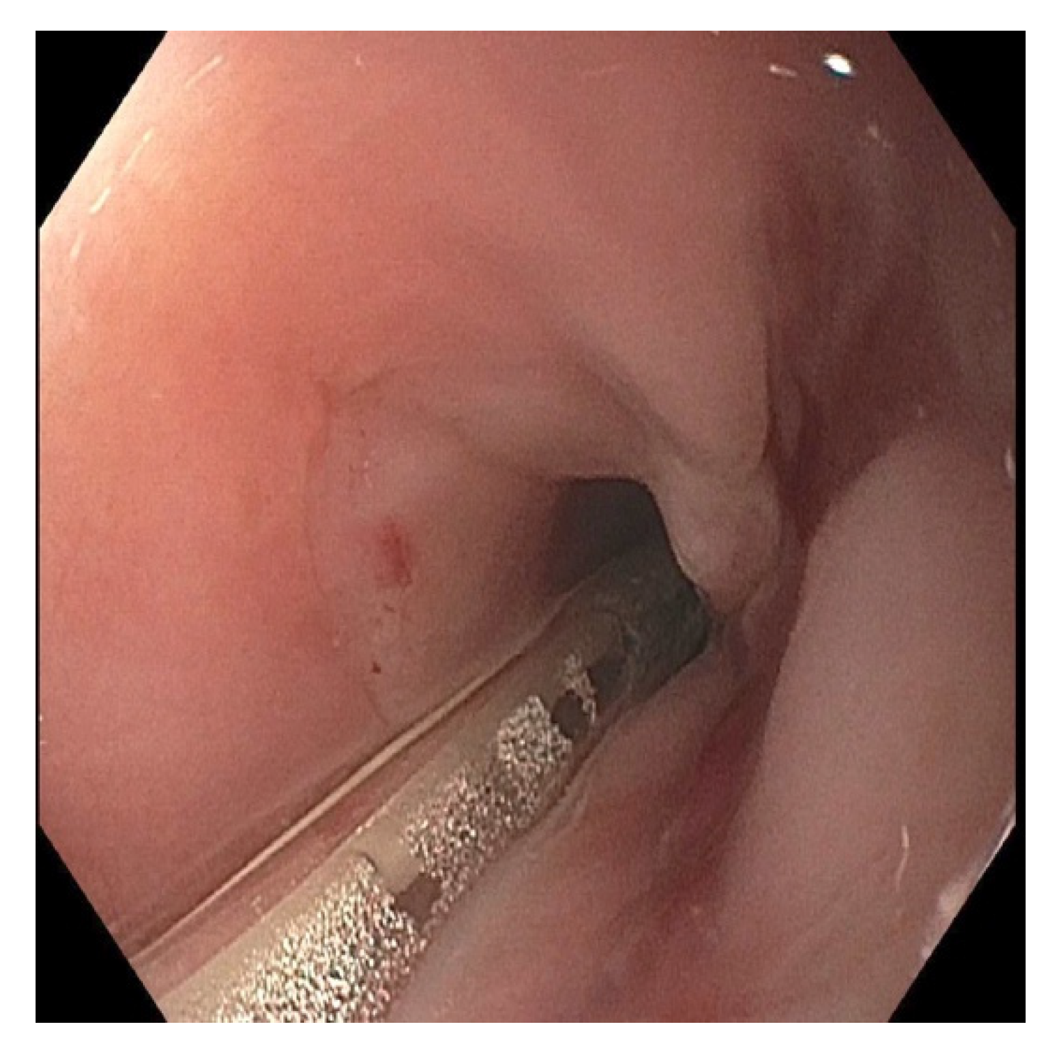 Pediatrrep 13 00059 g006 Pediatrrep 13 00059 g006
