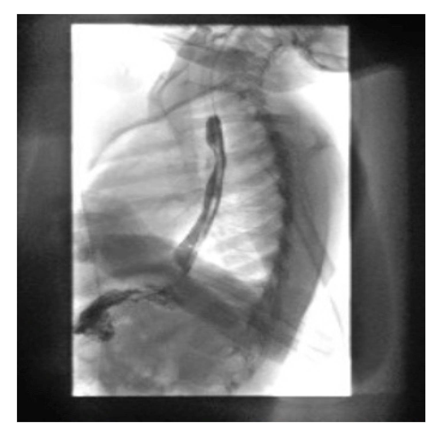 Pediatrrep 13 00059 g007 Pediatrrep 13 00059 g007
