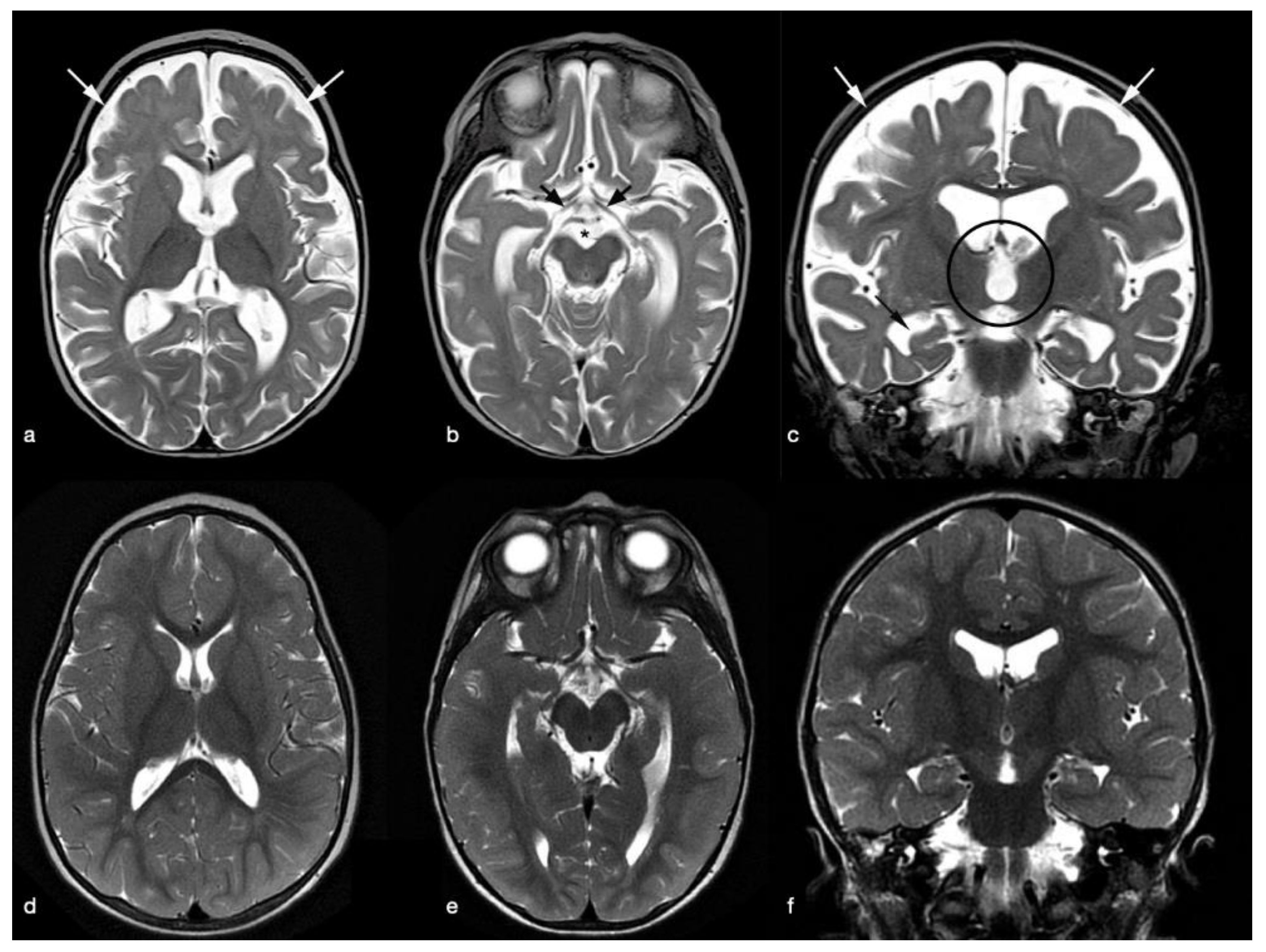 Pediatrrep 13 00069 g001