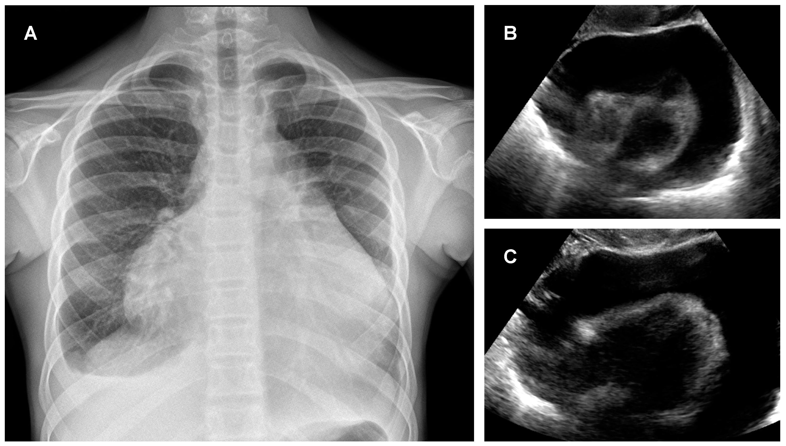 Pediatrrep 14 00002 g001 Pediatrrep 14 00002 g001
