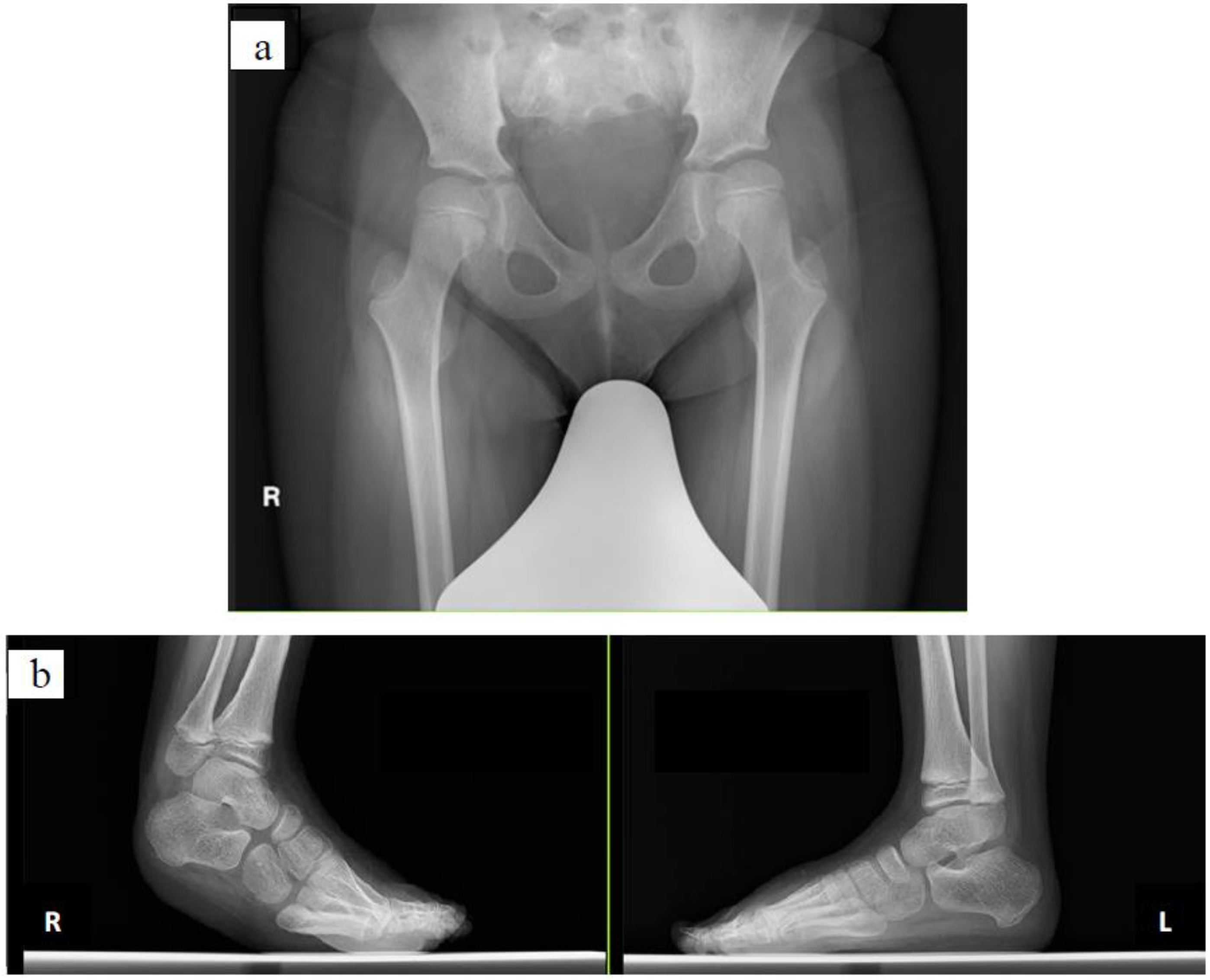 Pediatrrep 14 00041 g002