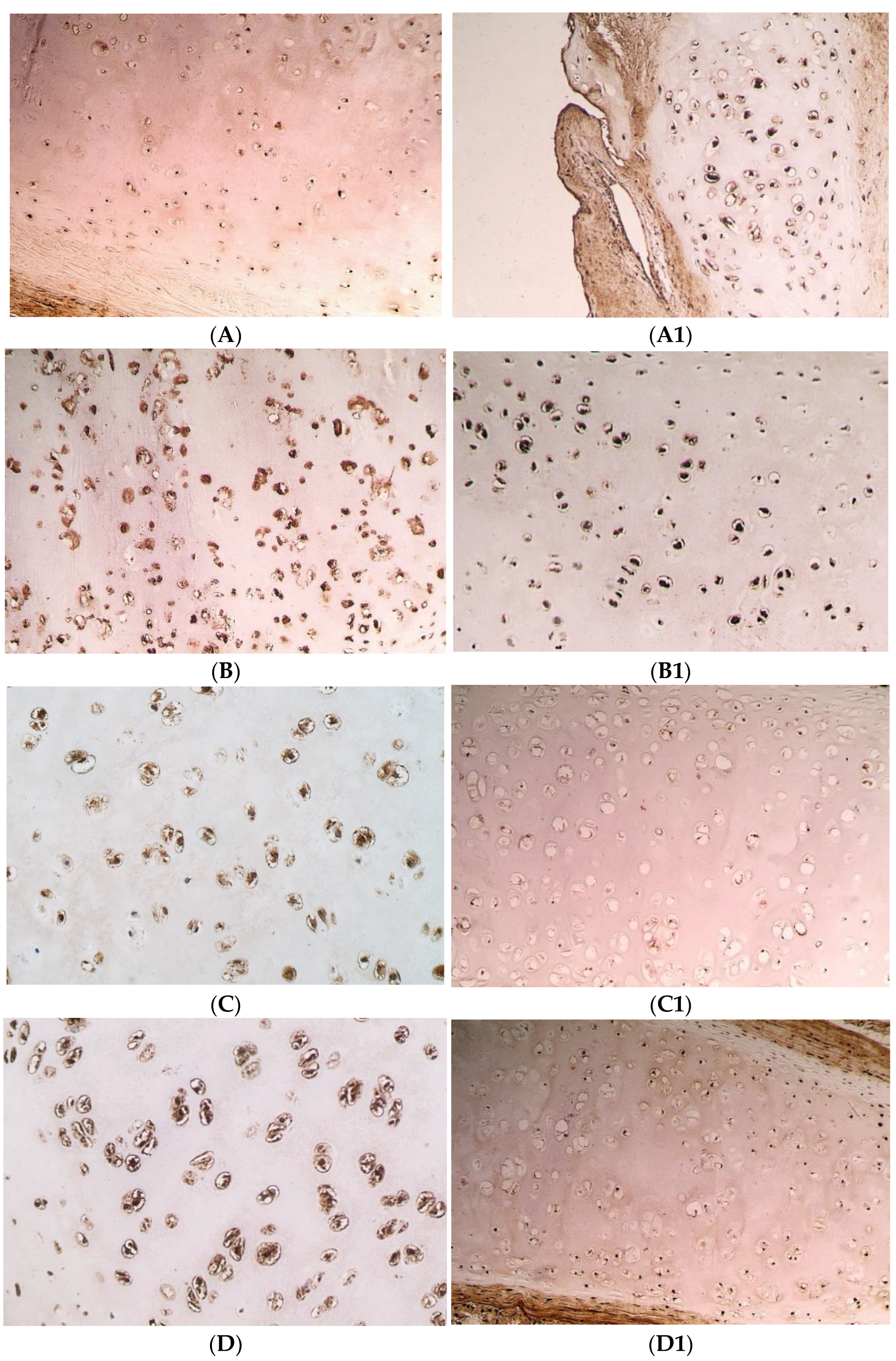 Pediatrrep 14 00050 g001
