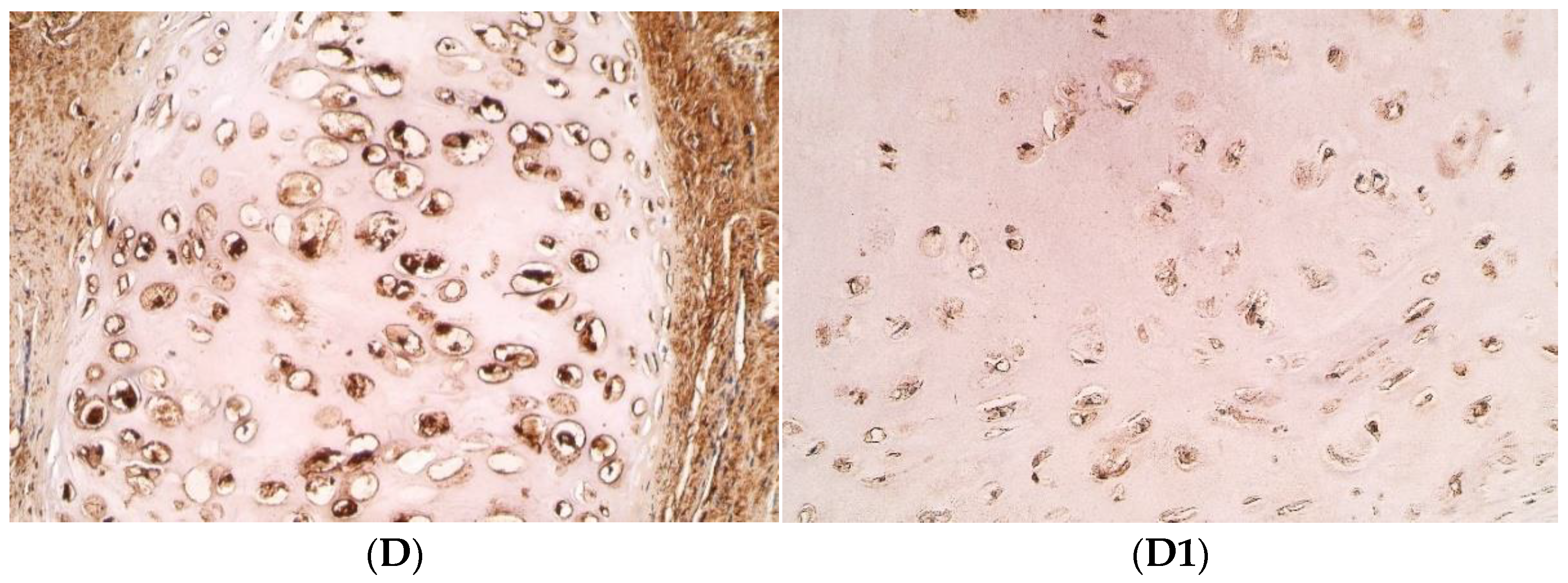 Pediatrrep 14 00050 g002b