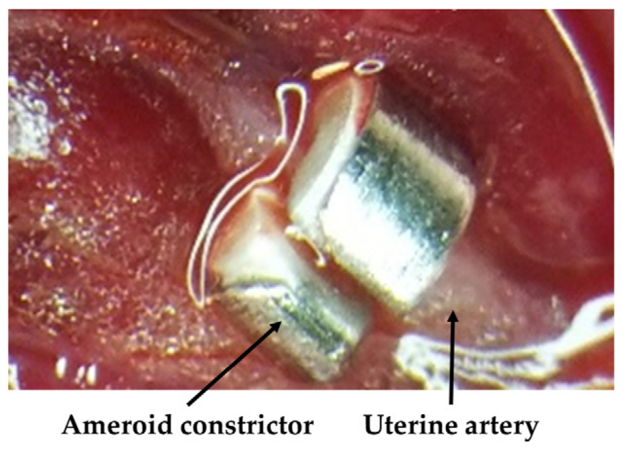 Pediatrrep 15 00006 g001