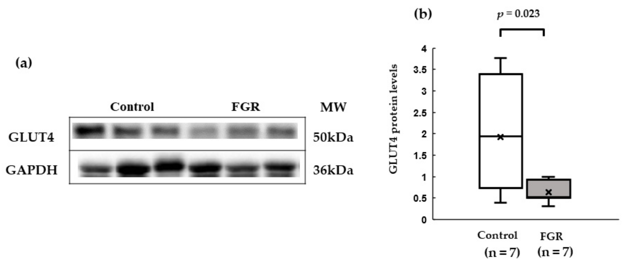 Pediatrrep 15 00006 g004