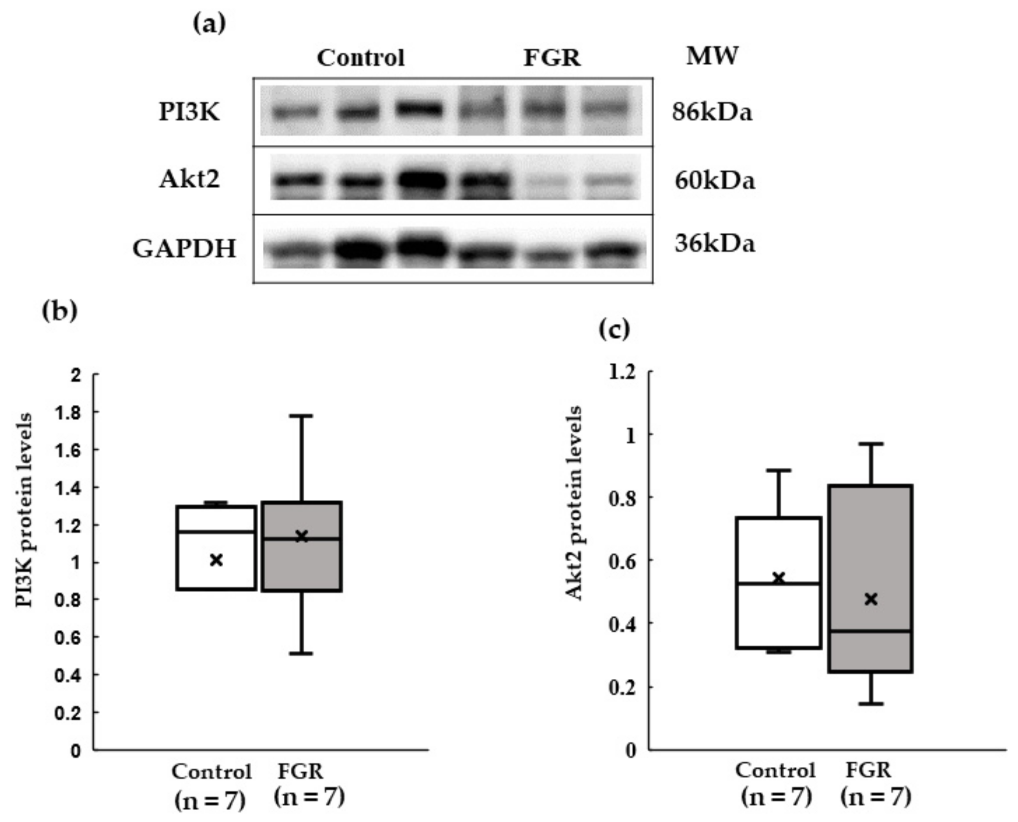 Pediatrrep 15 00006 g005