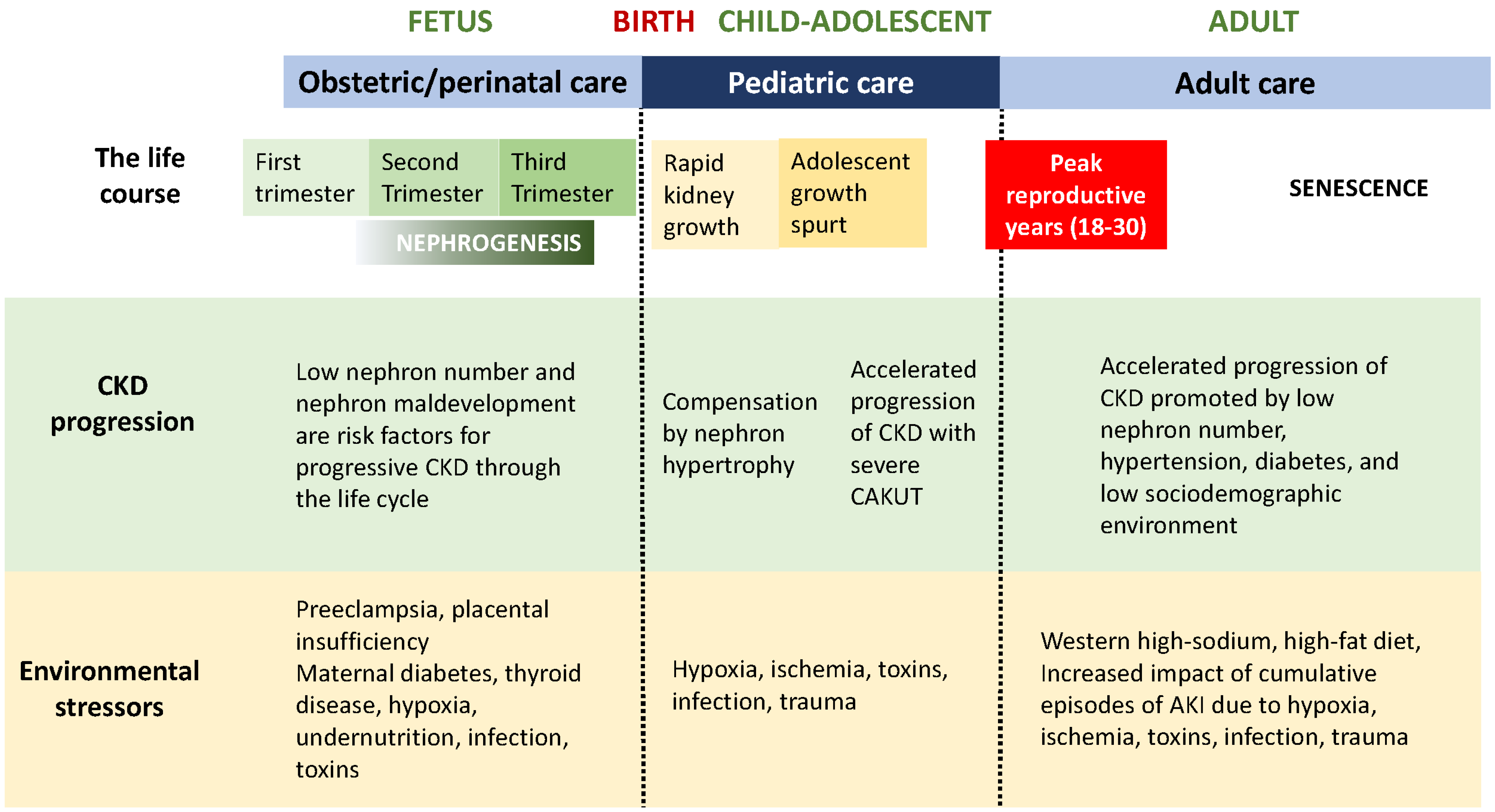 Pediatrrep 15 00012 g001