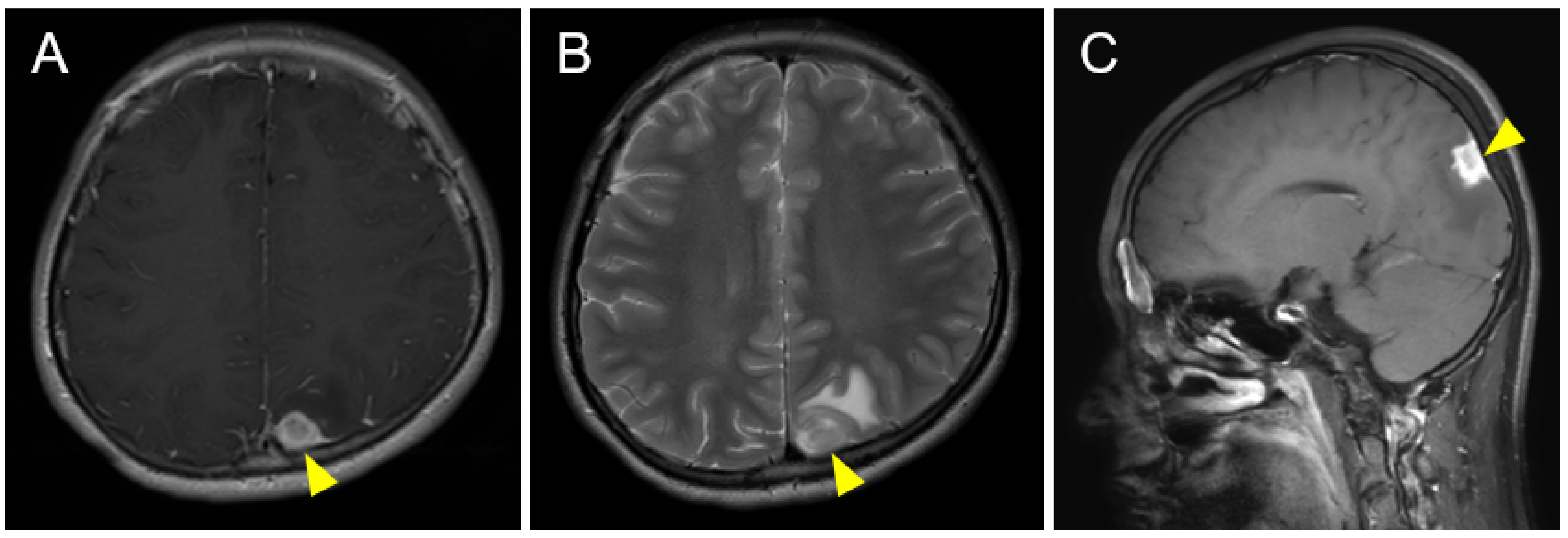 Pediatrrep 15 00029 g001