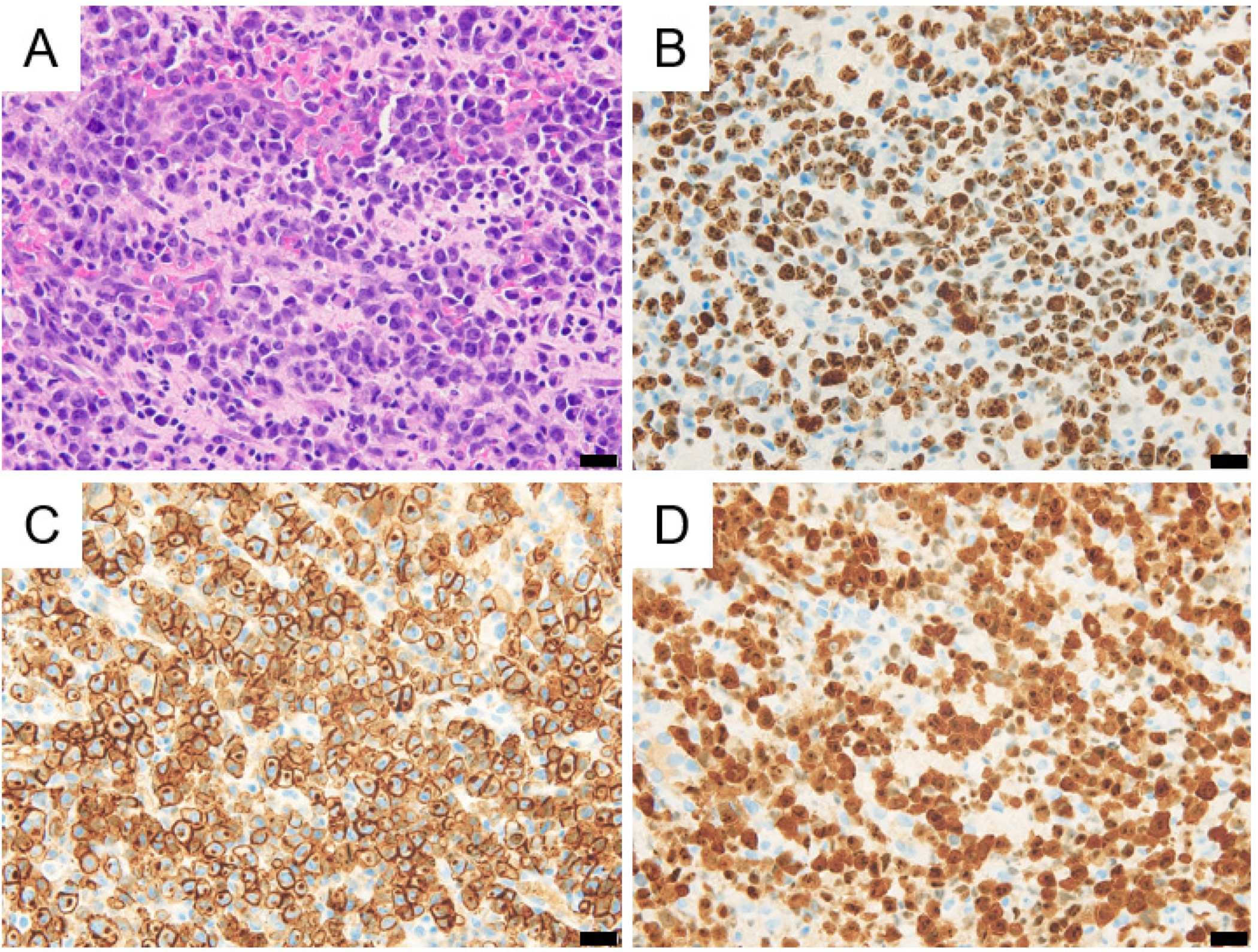 Pediatrrep 15 00029 g002