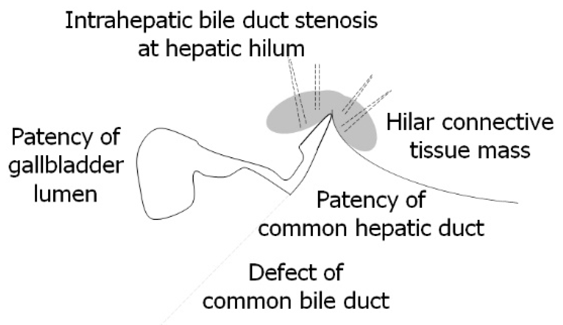 Pediatrrep 15 00049 g007