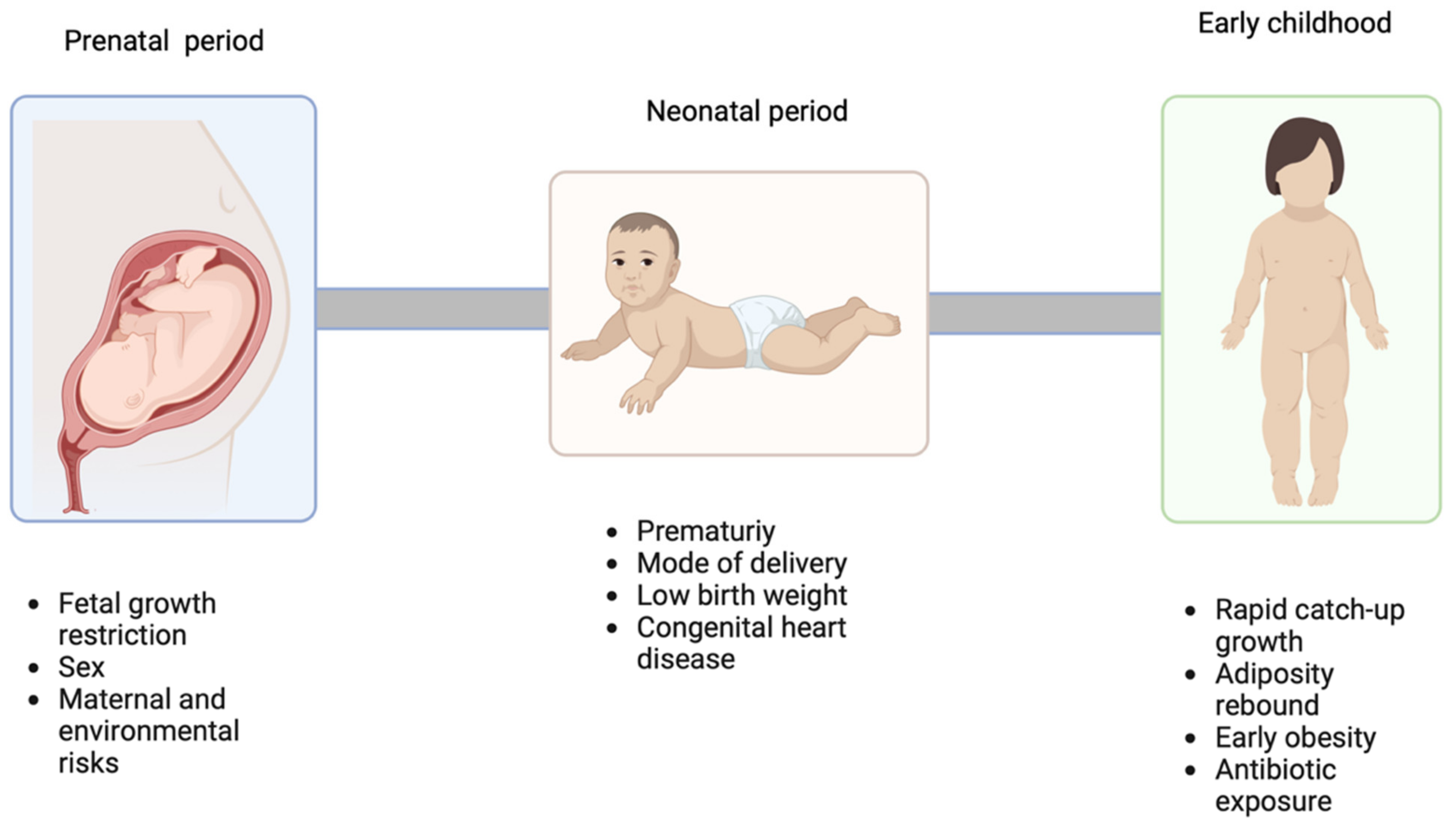 Pediatrrep 15 00058 g002