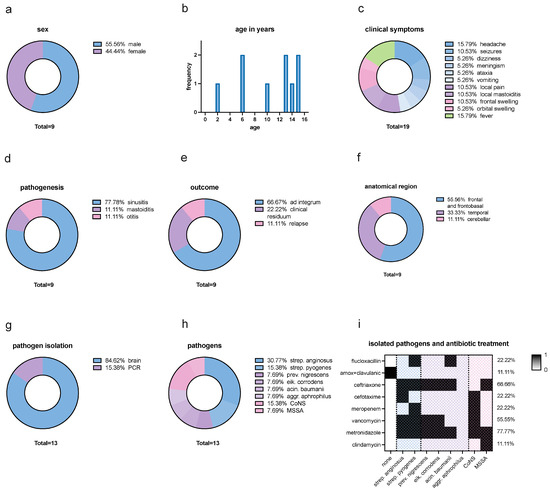 Pediatrrep 16 00085 g001