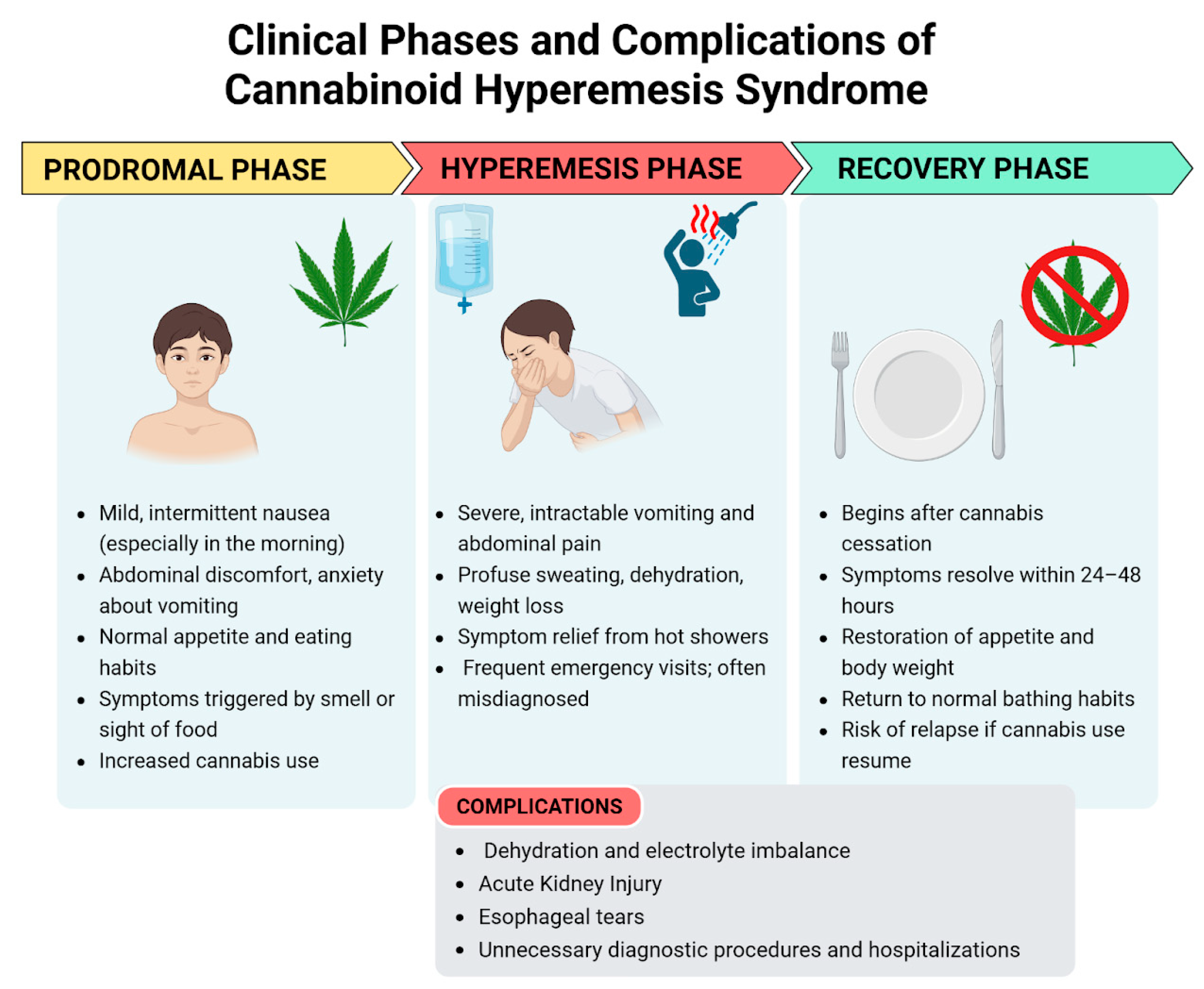 Pediatrrep 17 00075 g001