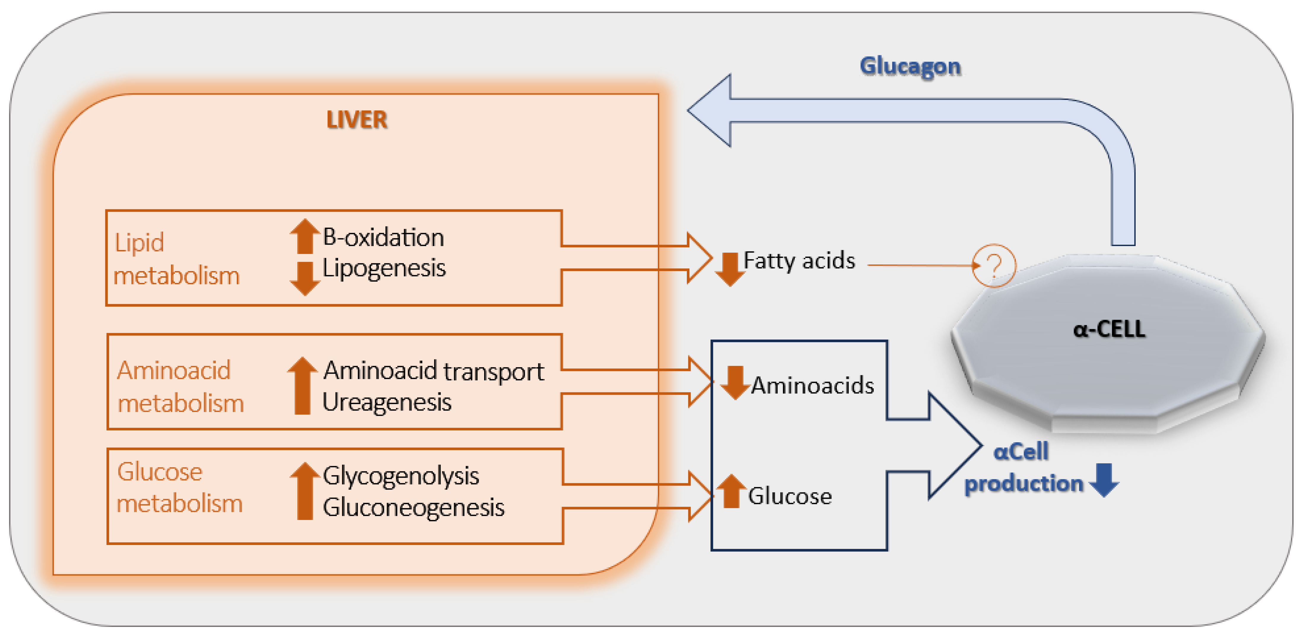 Pediatrrep 17 00104 g001 Pediatrrep 17 00104 g001