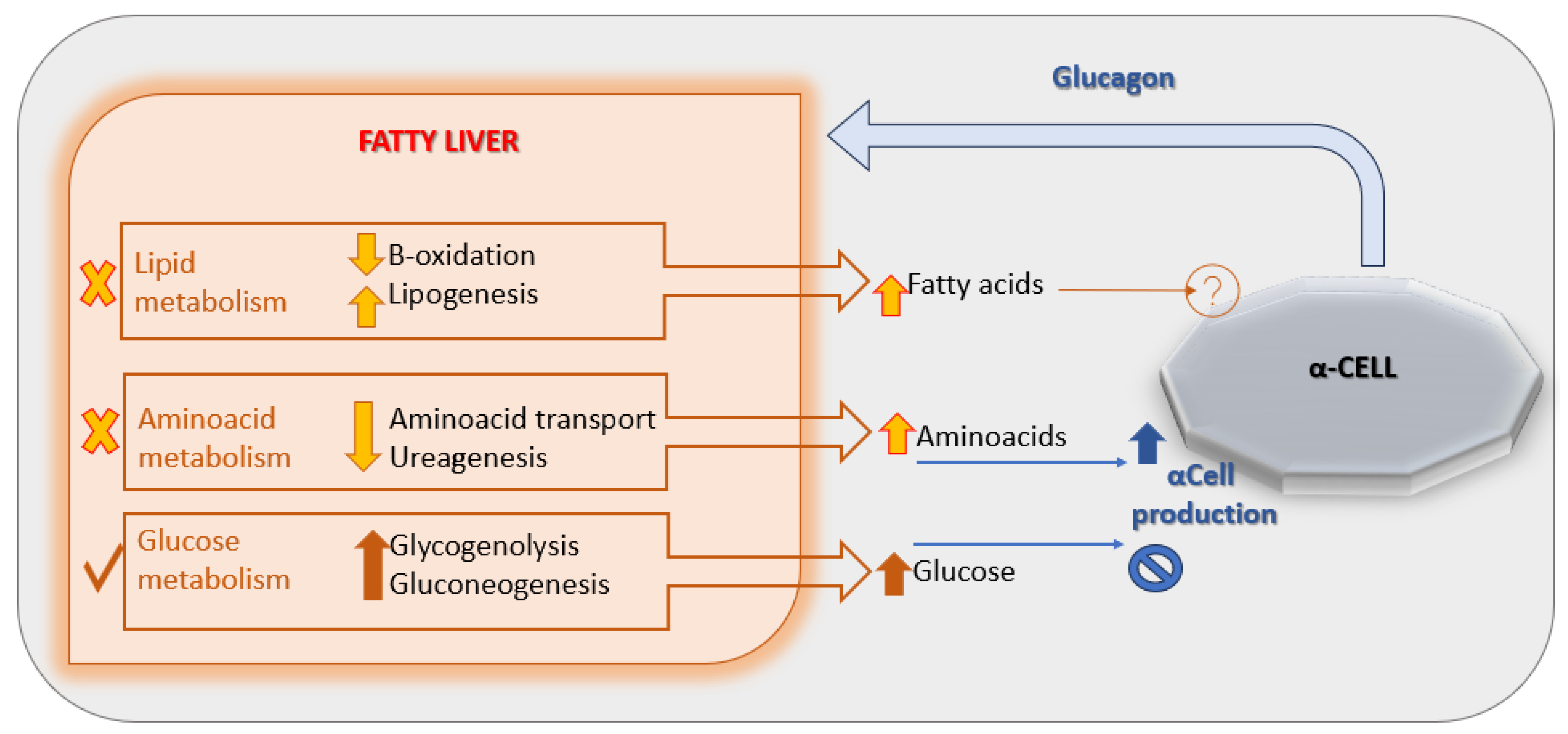 Pediatrrep 17 00104 g002 Pediatrrep 17 00104 g002