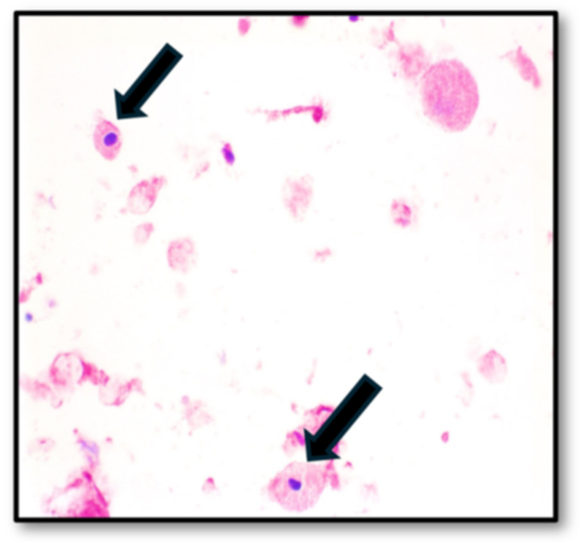 Pediatrrep 18 00141 g002 Pediatrrep 18 00141 g002