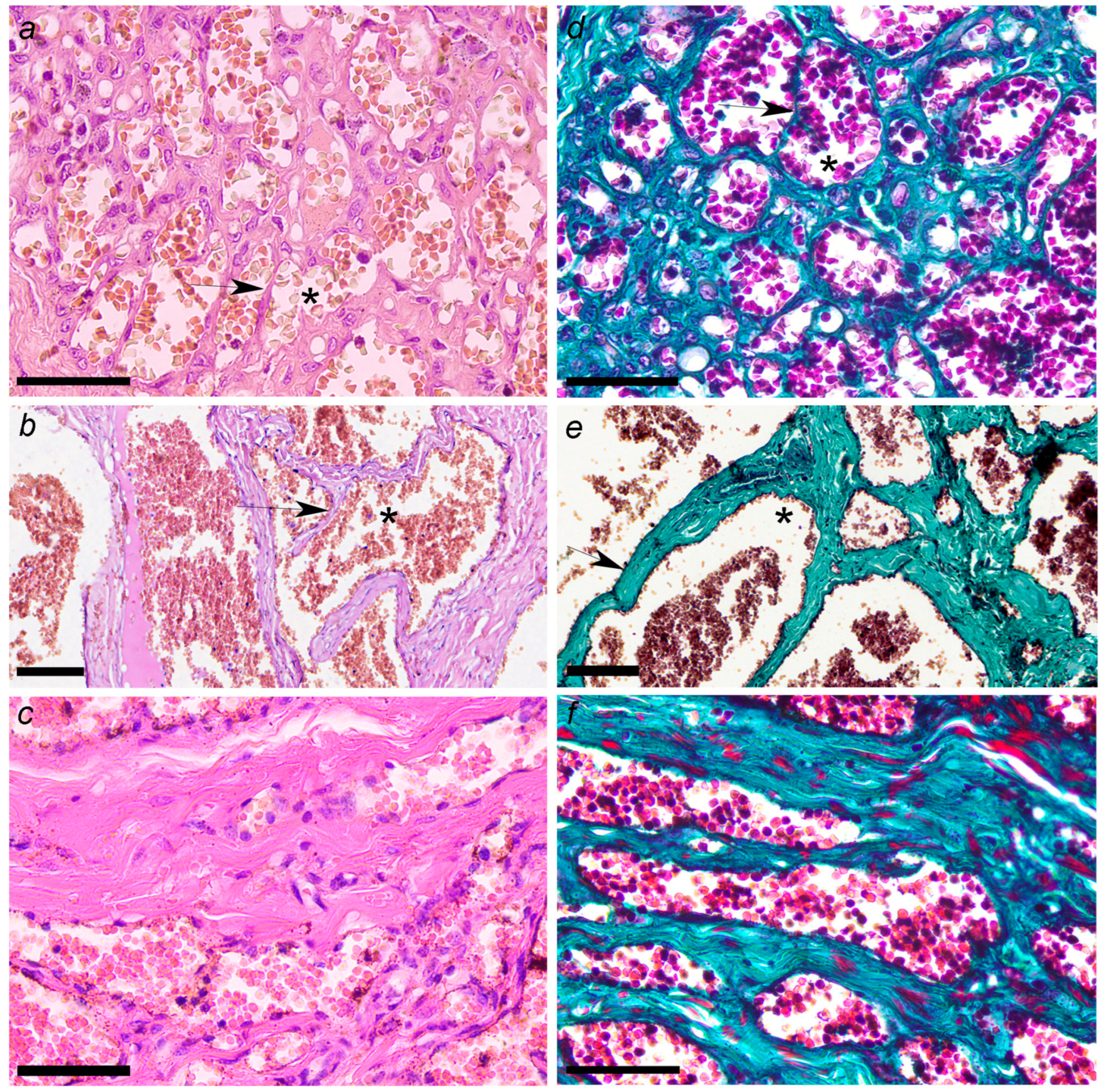 Pets 02 00036 g001 Pets 02 00036 g001