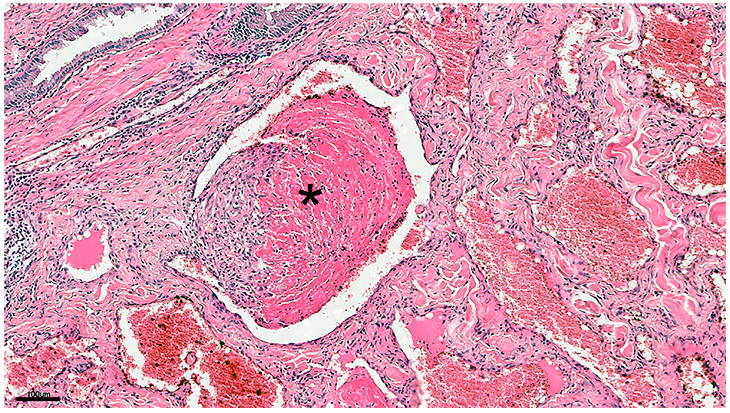 Pets 02 00036 g003 Pets 02 00036 g003