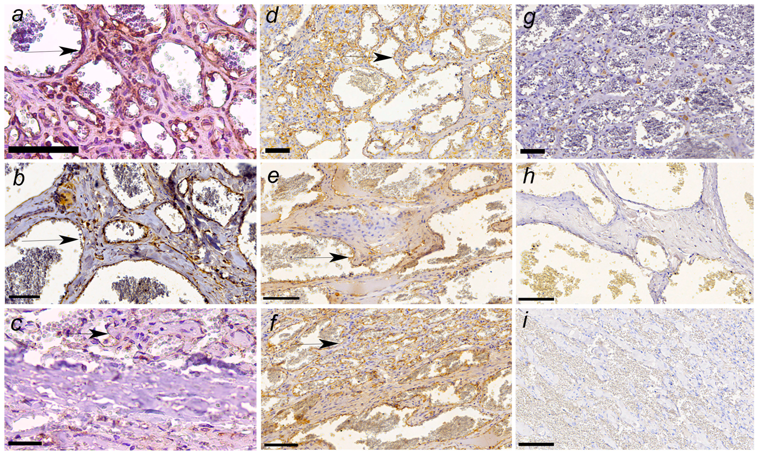 Pets 02 00036 g004 Pets 02 00036 g004