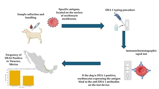 Article thumbnail image