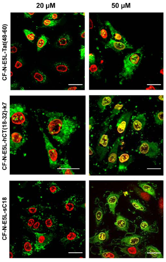 Pharmaceuticals 02 00049 g002 1024