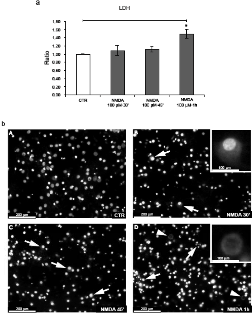 Pharmaceuticals 03 00042 g001