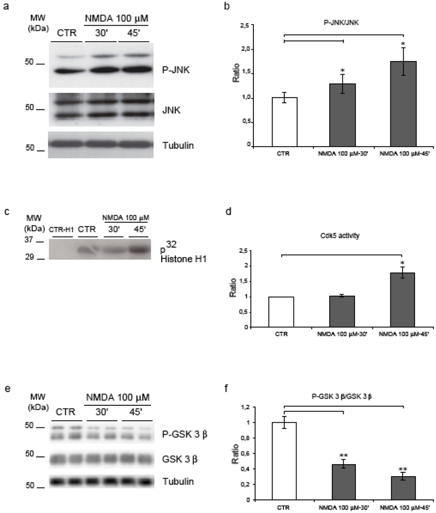 Pharmaceuticals 03 00042 g004
