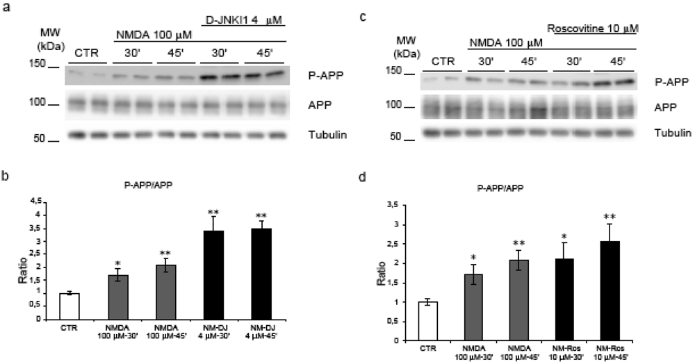 Pharmaceuticals 03 00042 g005 1024