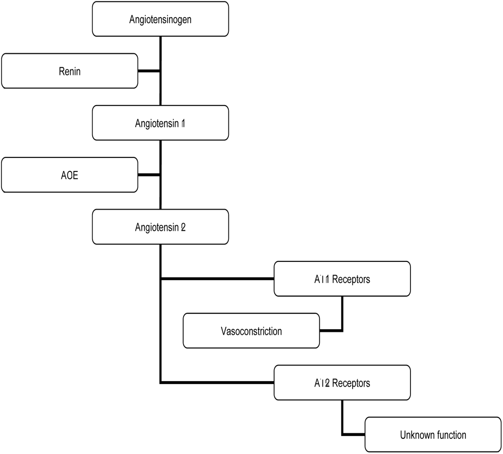Pharmaceuticals 03 00237 g004