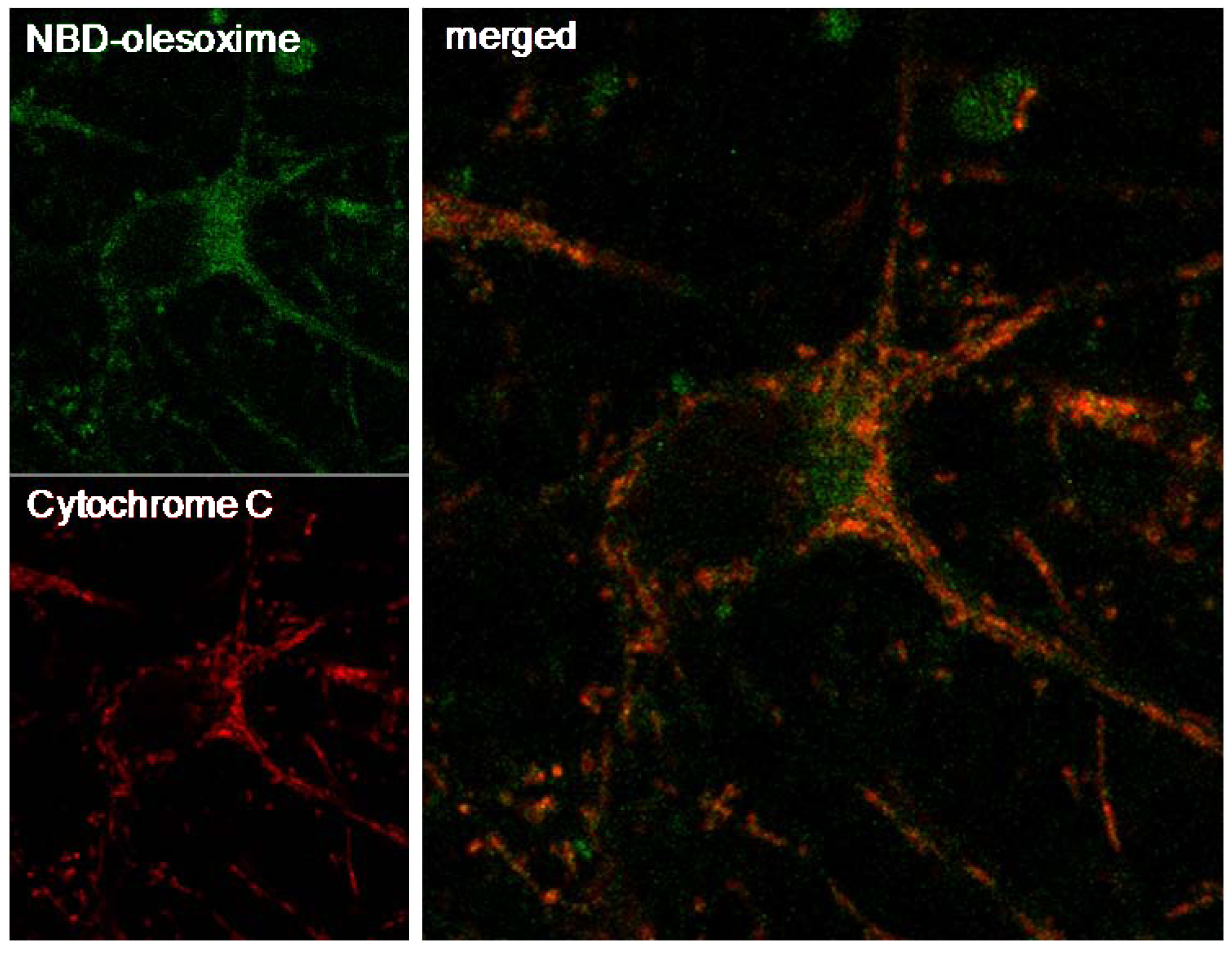 Pharmaceuticals 03 00345 g004
